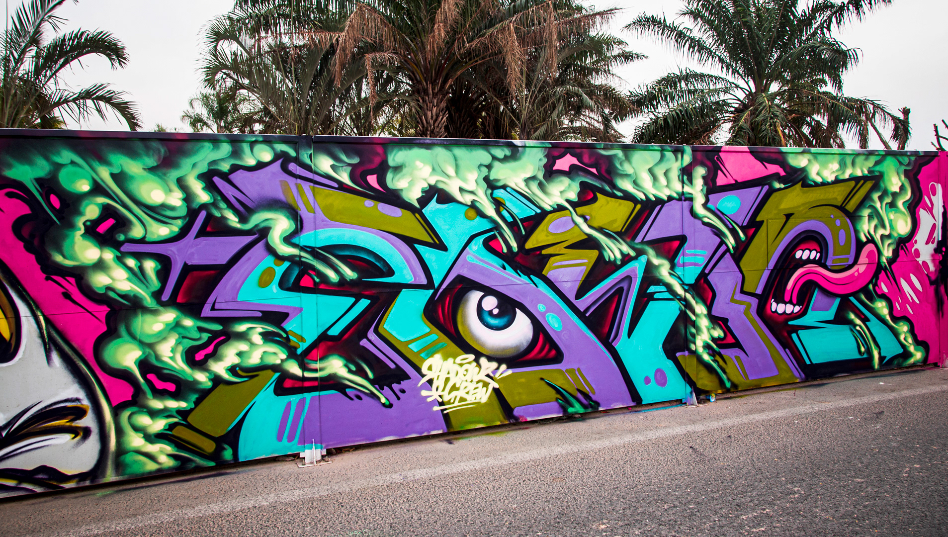 Freestyle Graffiti Mural (2010)