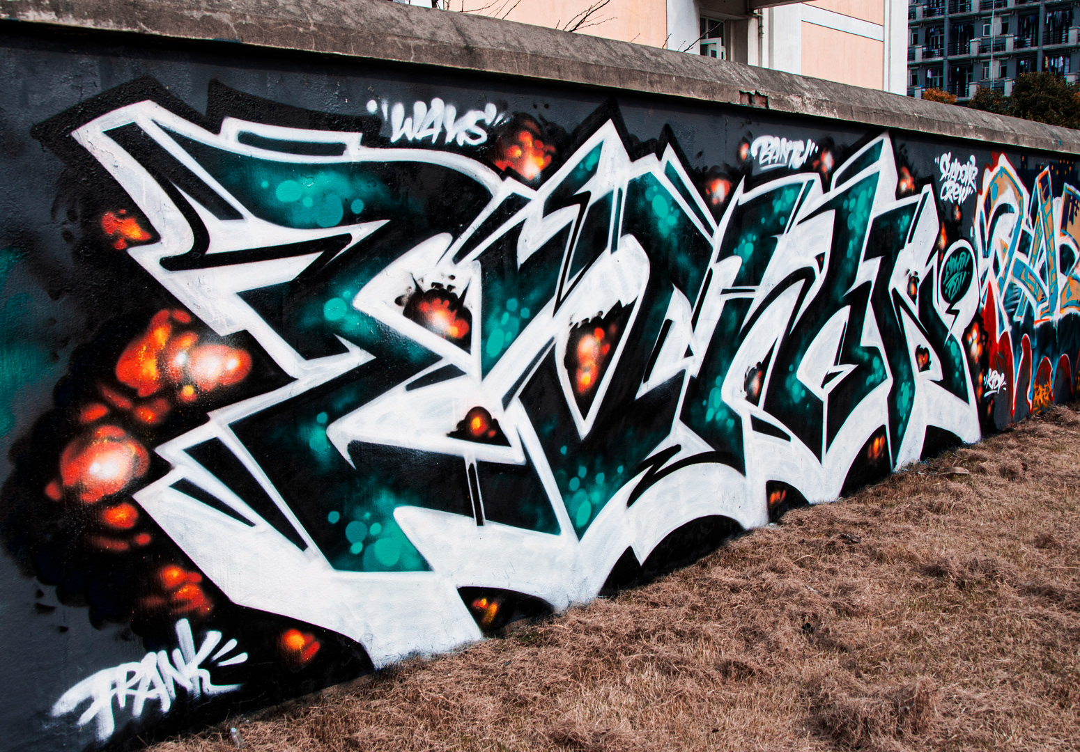 Freestyle Graffiti works series (2009)