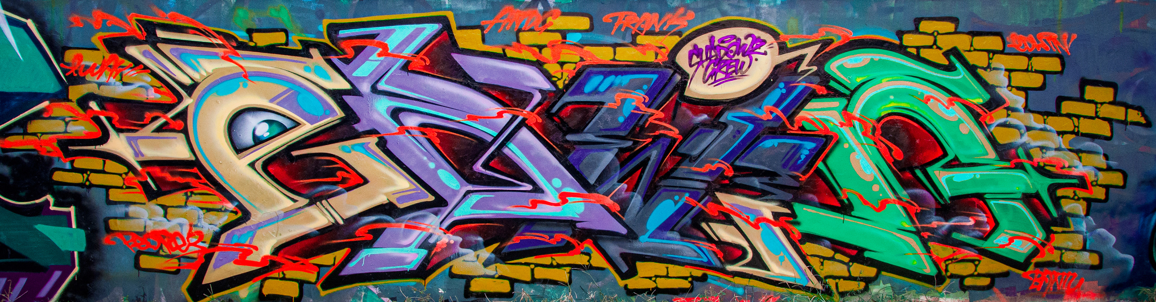 Freestyle Graffiti works series (2010)