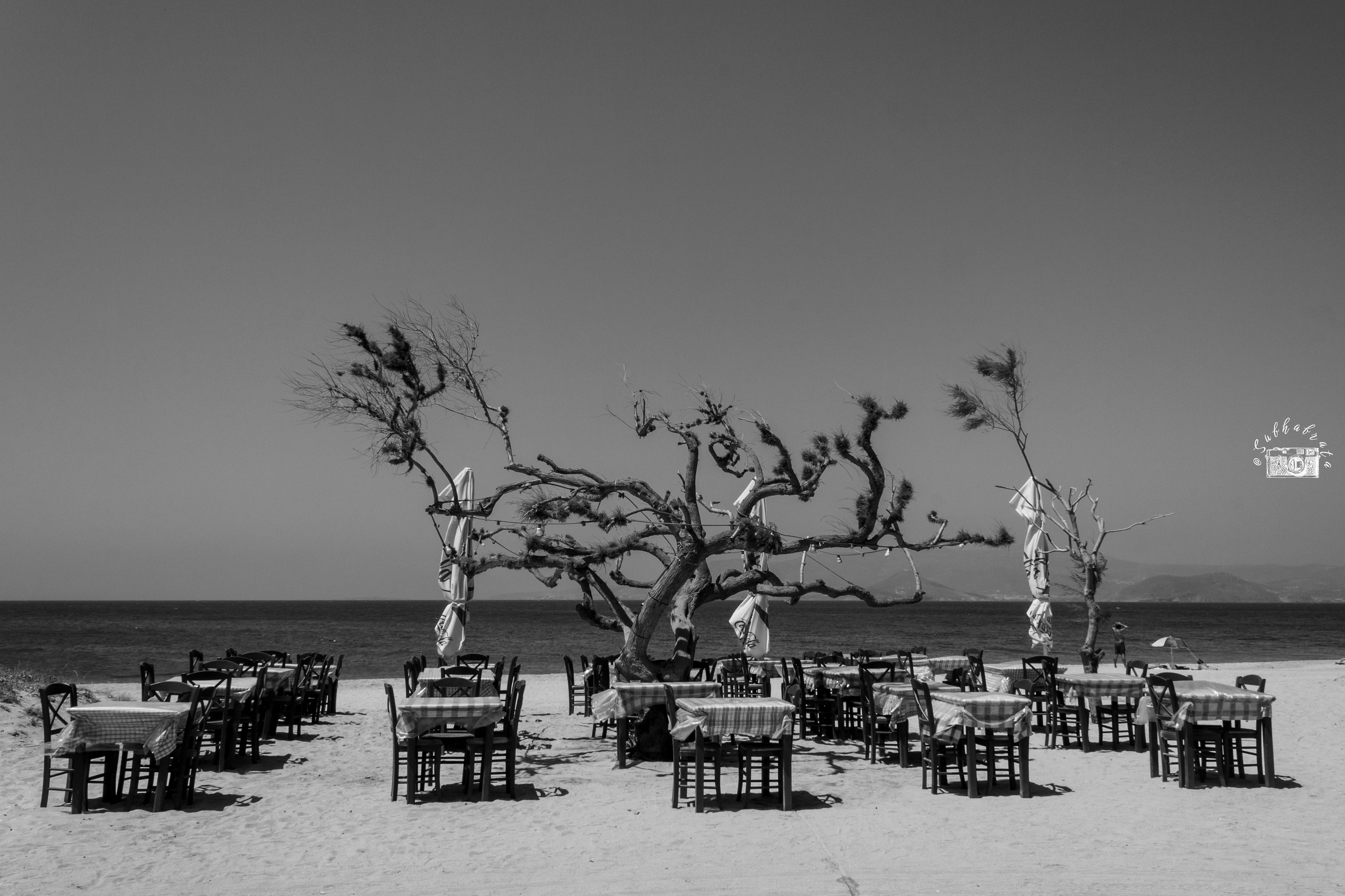  Café by the Sea: Snoozing by Sunrise, Sparkling by Sunset.