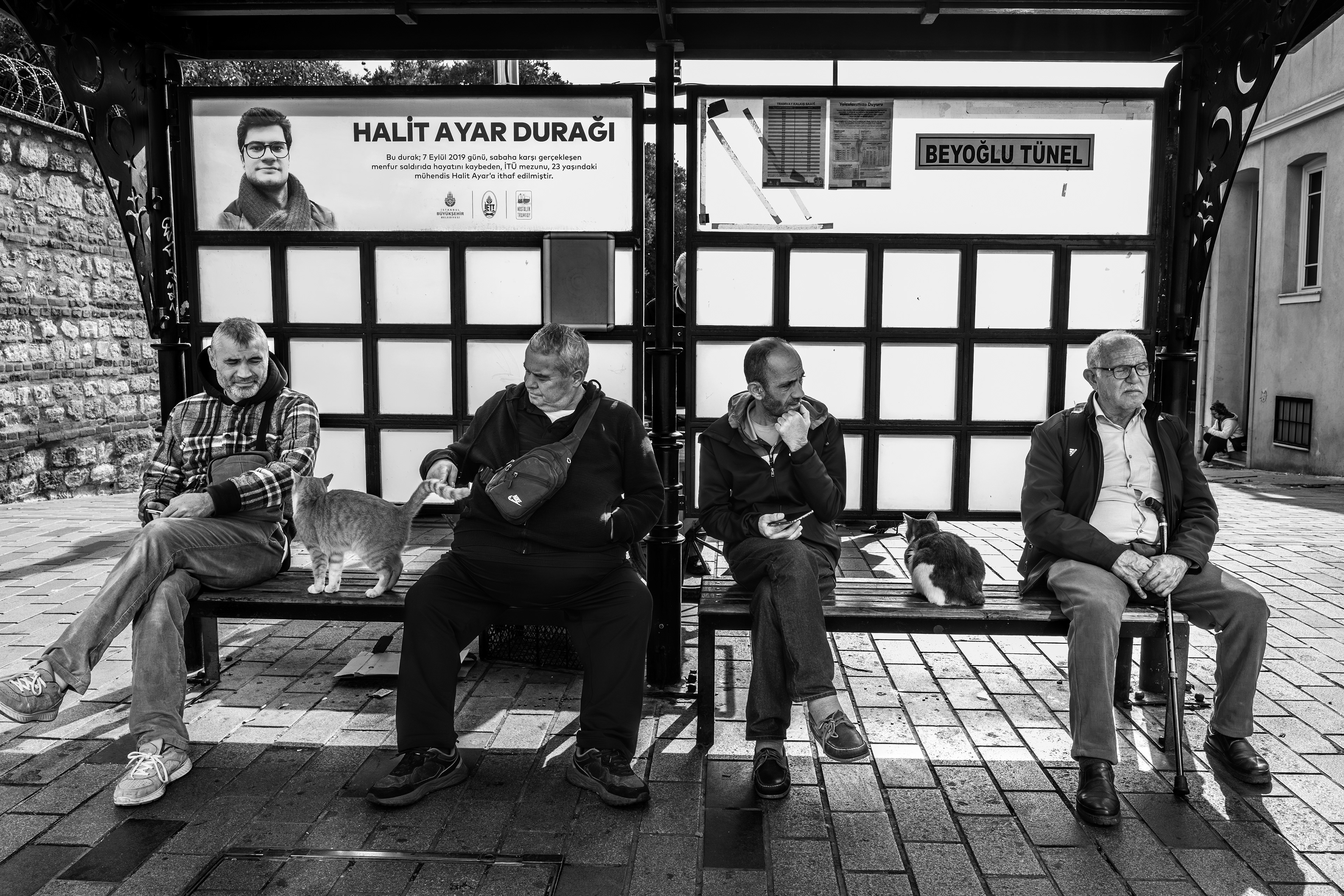 Istanbul’s Unhurried Travellers: Waiting Together.