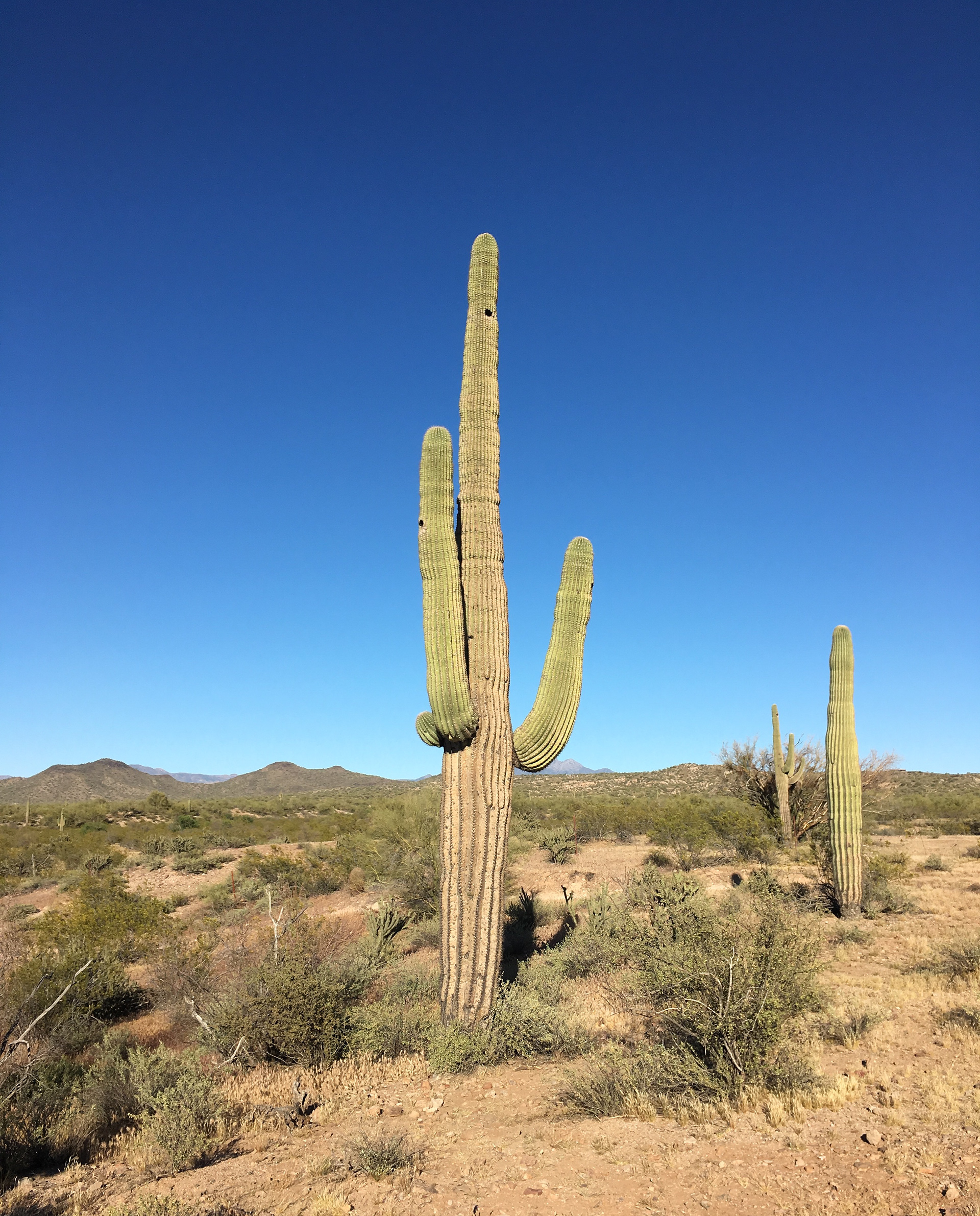 Sedona, Arizona (2015)