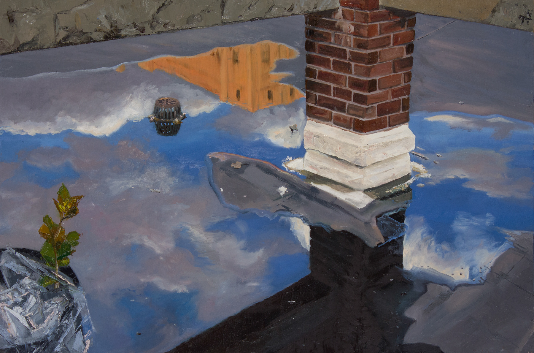 Reflection on the Roof