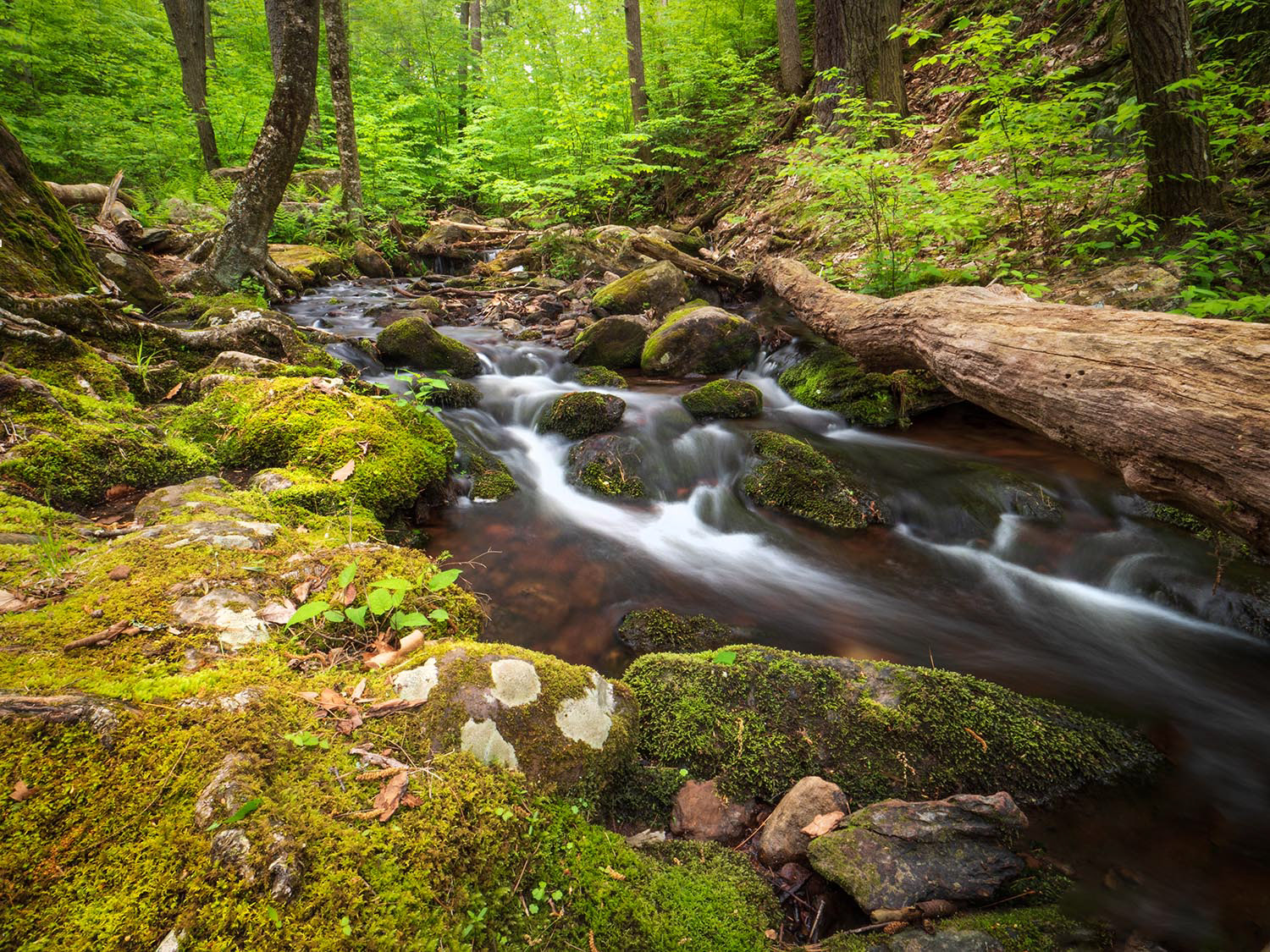 Water rushes down stream. The long exposure makes the water silky smooth. The banks of the stream are covered with bright green moss. and new spring growth on the trees is in the background.