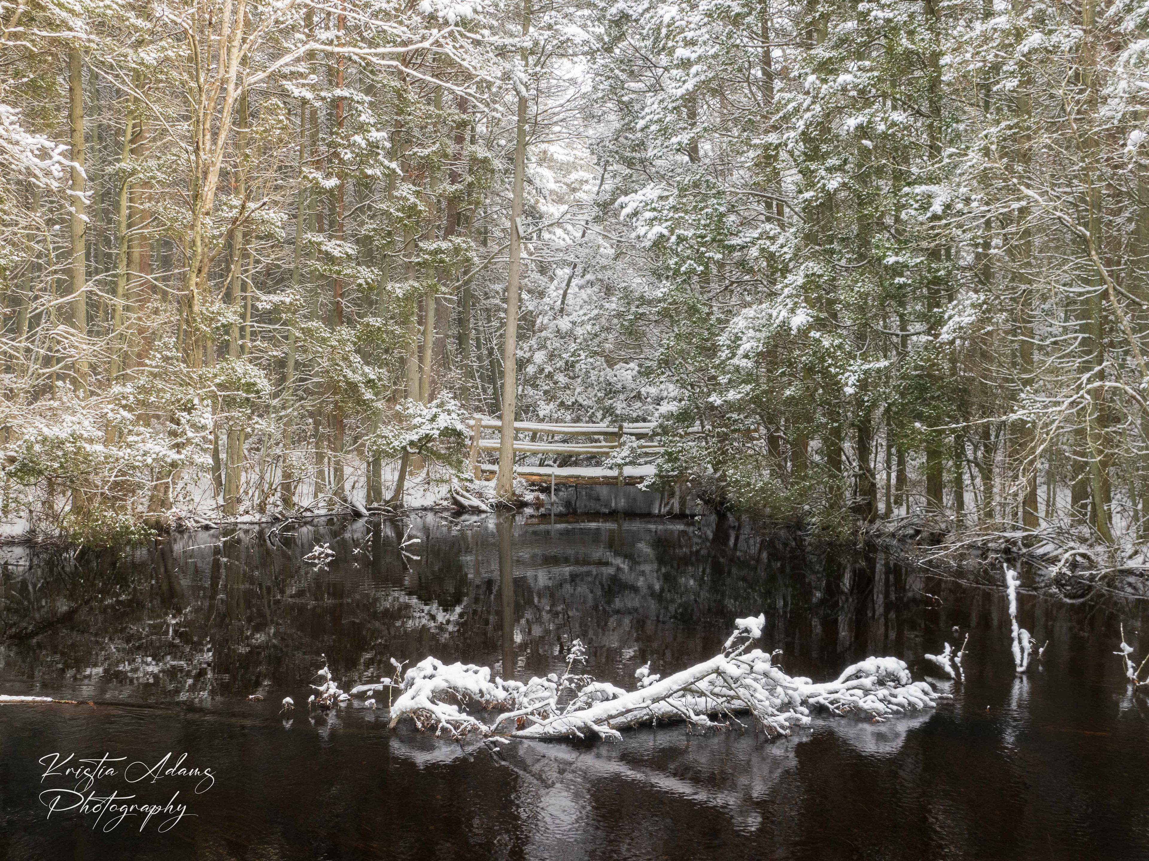 Snow covered trees tower above a little wooden bridge. The bridge is over a creek with snowy branches in the water. This is a chilly beautiful winter scene.