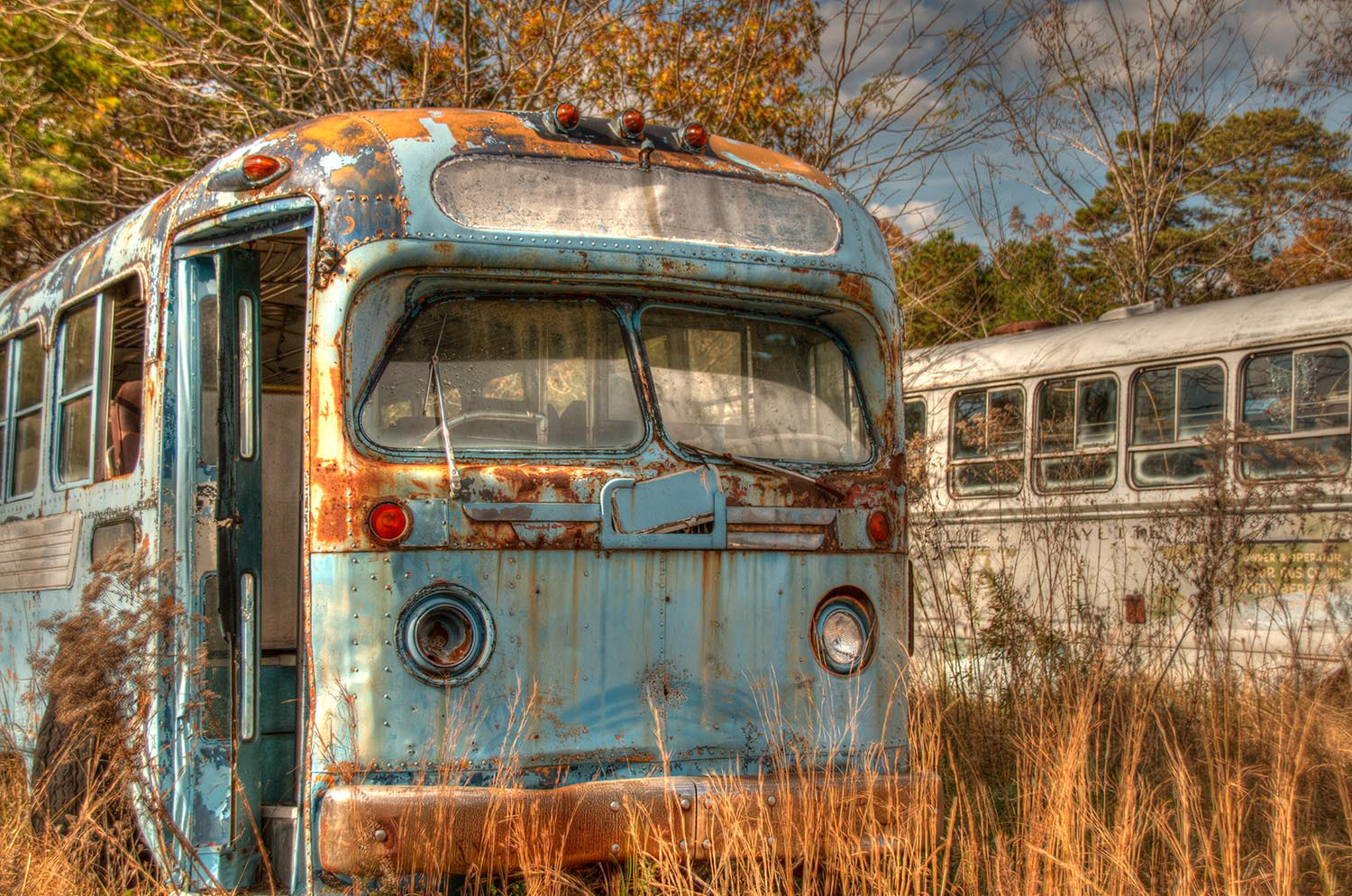 Old rusty buses sit among the weeds in a bus graveyard