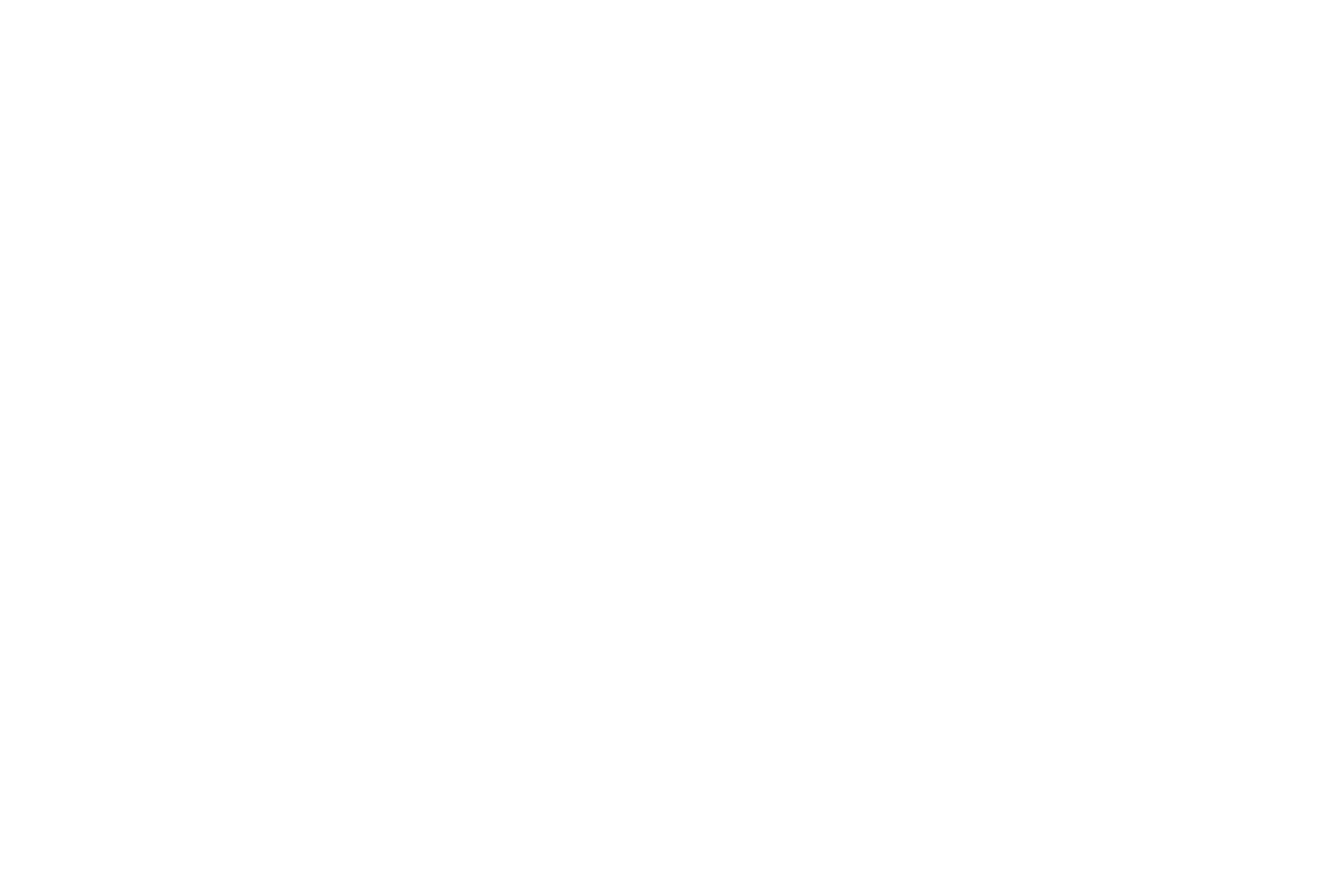 CamVas