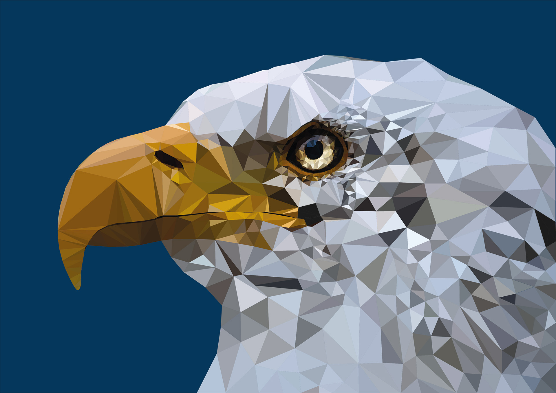 Ørn lavet i Illustrator