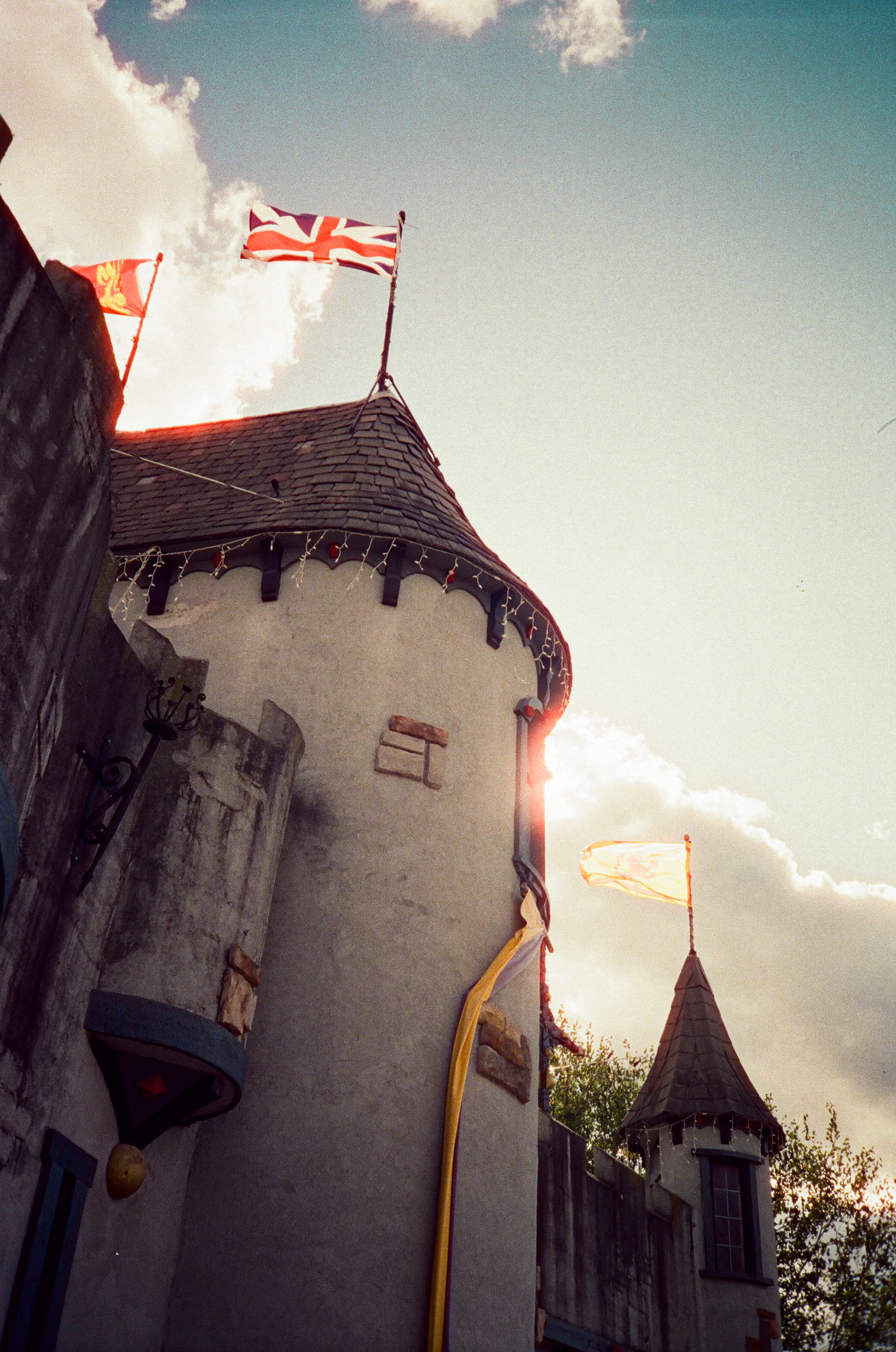 Renaissance | Cinestill 800T