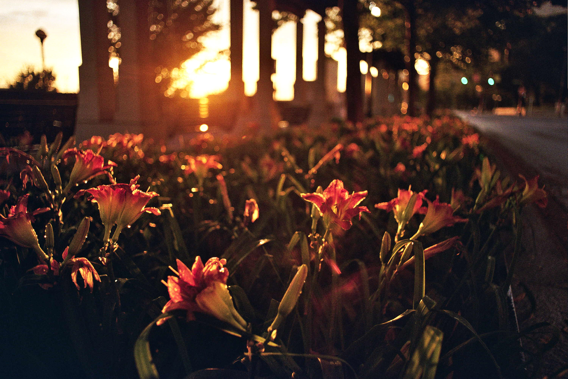 Goden hour sunset - Kodak Gold 200