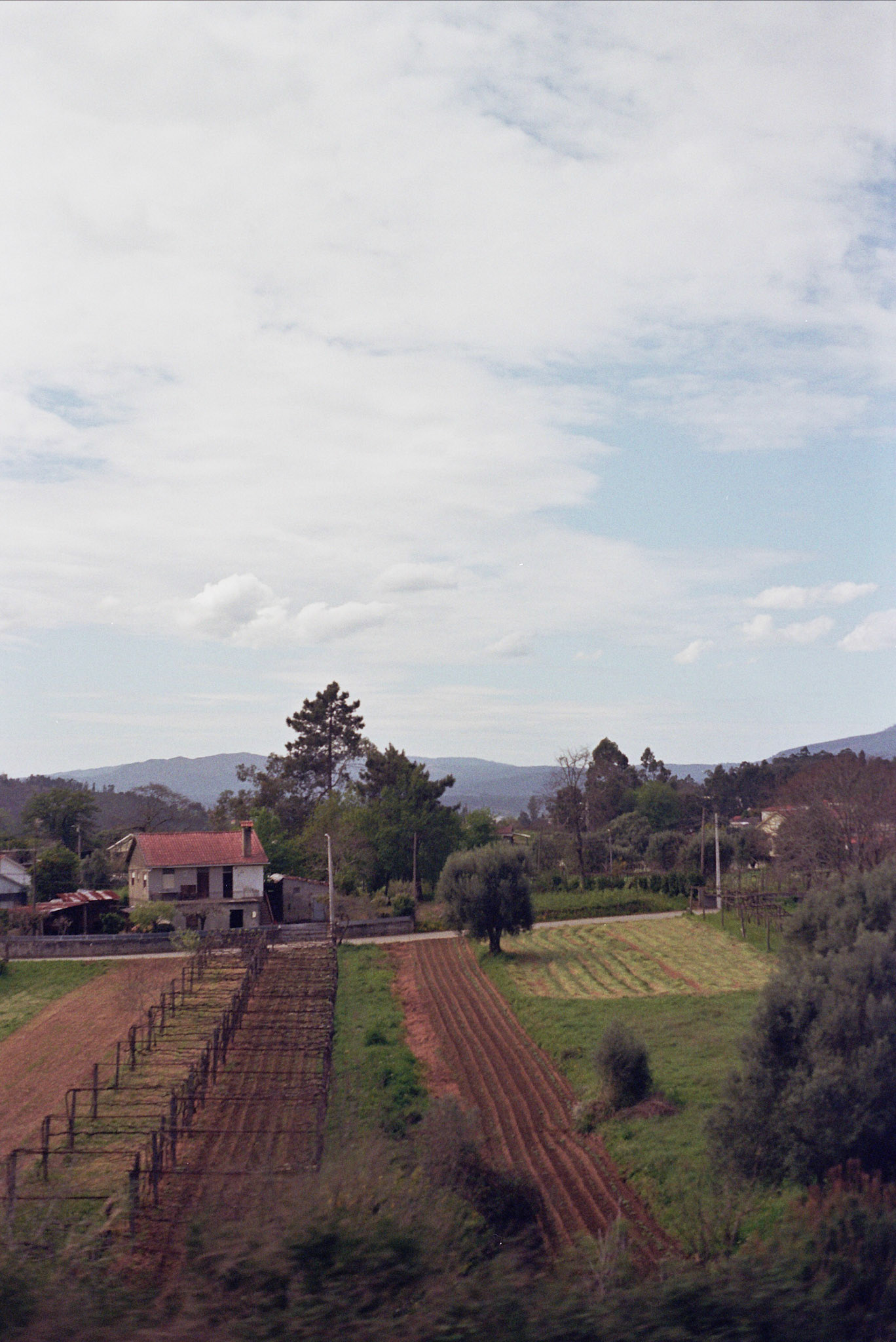 Autosave-File vom d-lab2/3 der AgfaPhoto GmbH