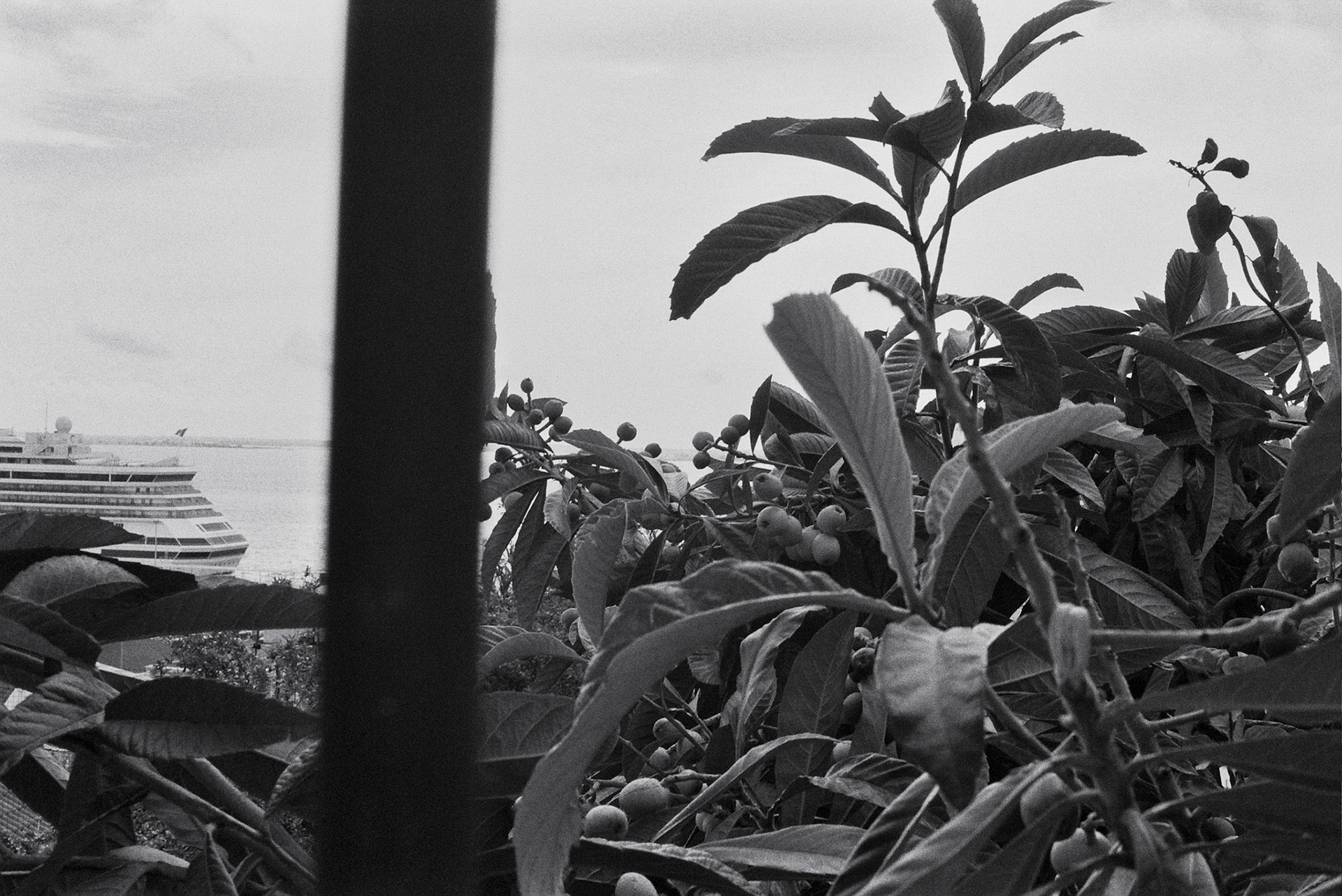 Autosave-File vom d-lab2/3 der AgfaPhoto GmbH