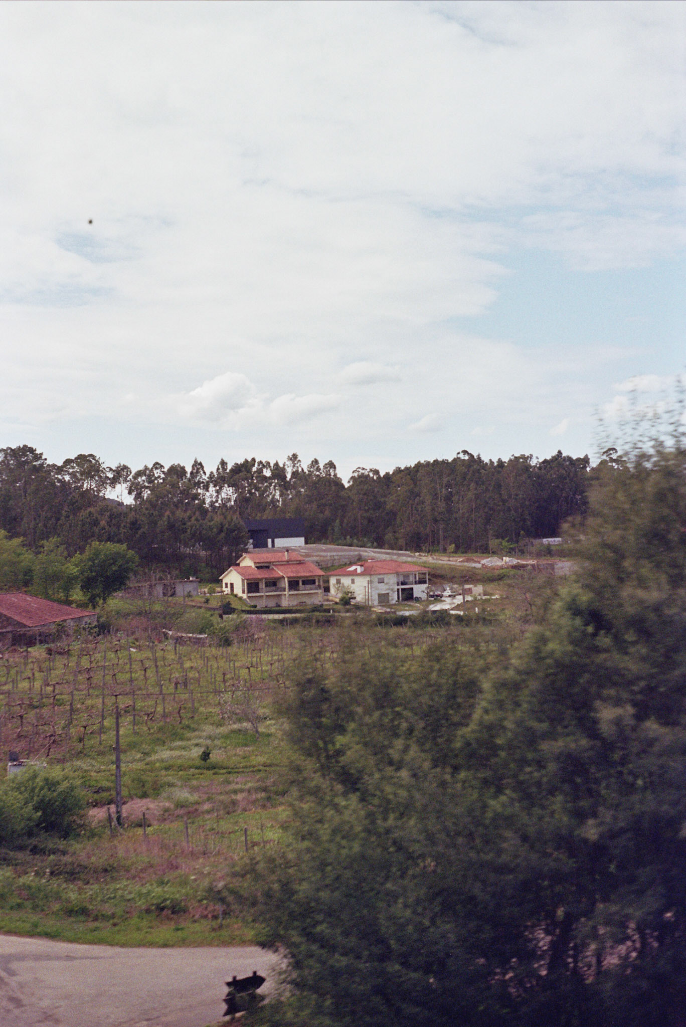 Autosave-File vom d-lab2/3 der AgfaPhoto GmbH