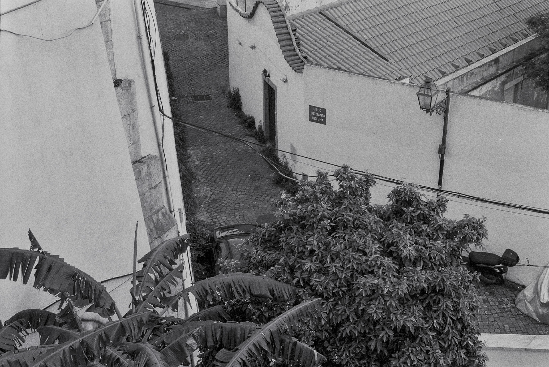 Autosave-File vom d-lab2/3 der AgfaPhoto GmbH