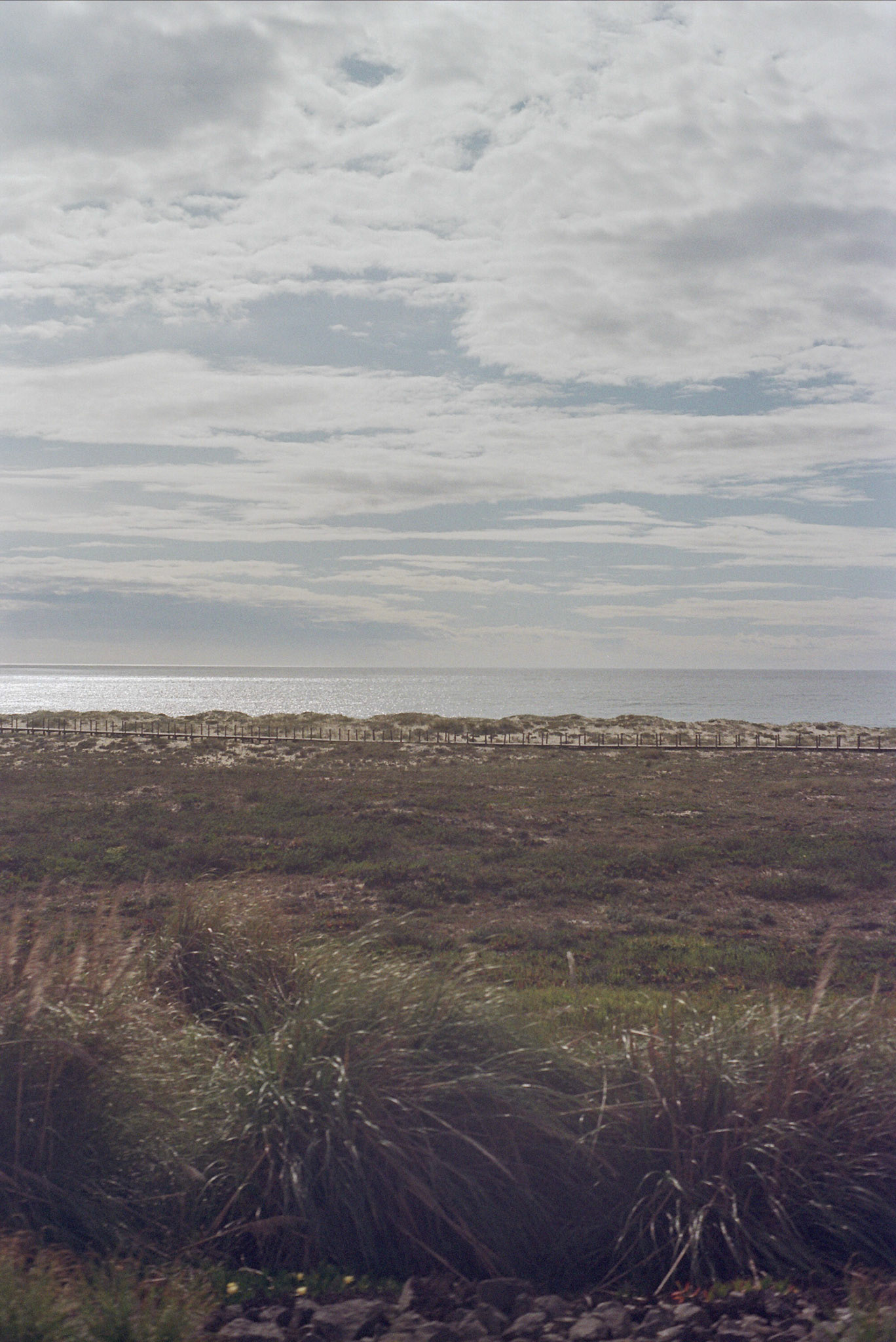 Autosave-File vom d-lab2/3 der AgfaPhoto GmbH