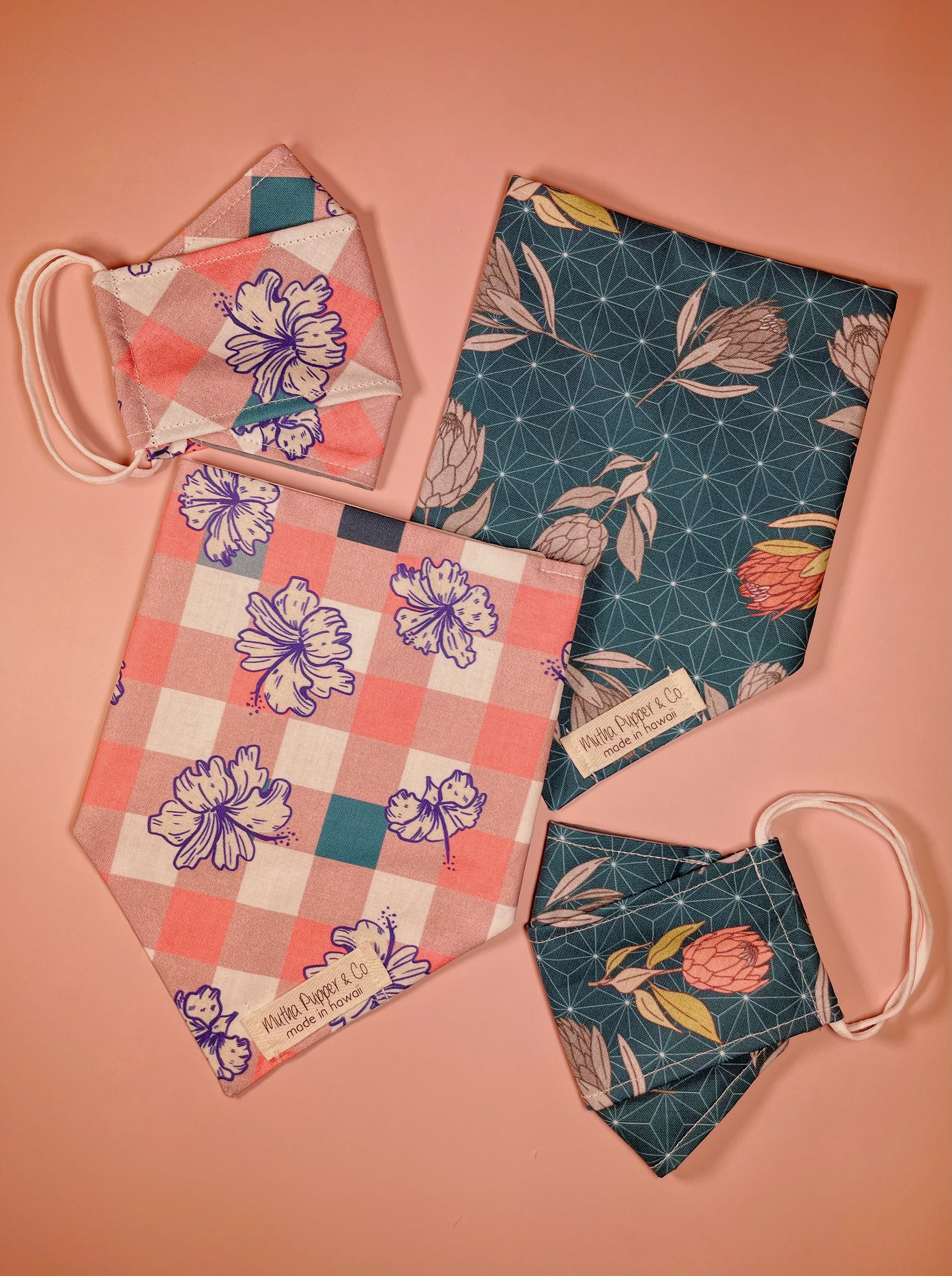 LEFT: Ichimatsuri  RIGHT: Protea Ouji (Blue)