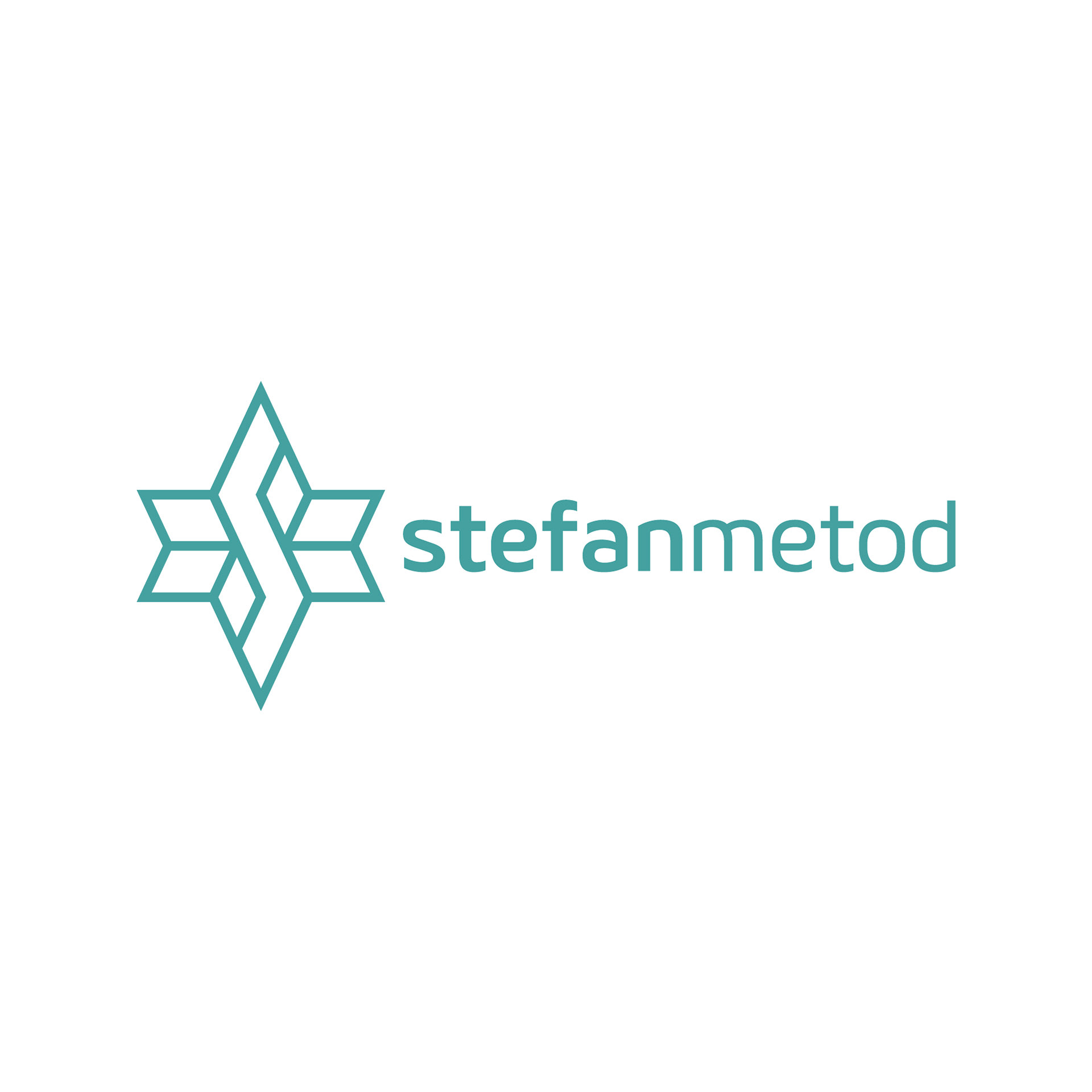 Logo in primary colour
