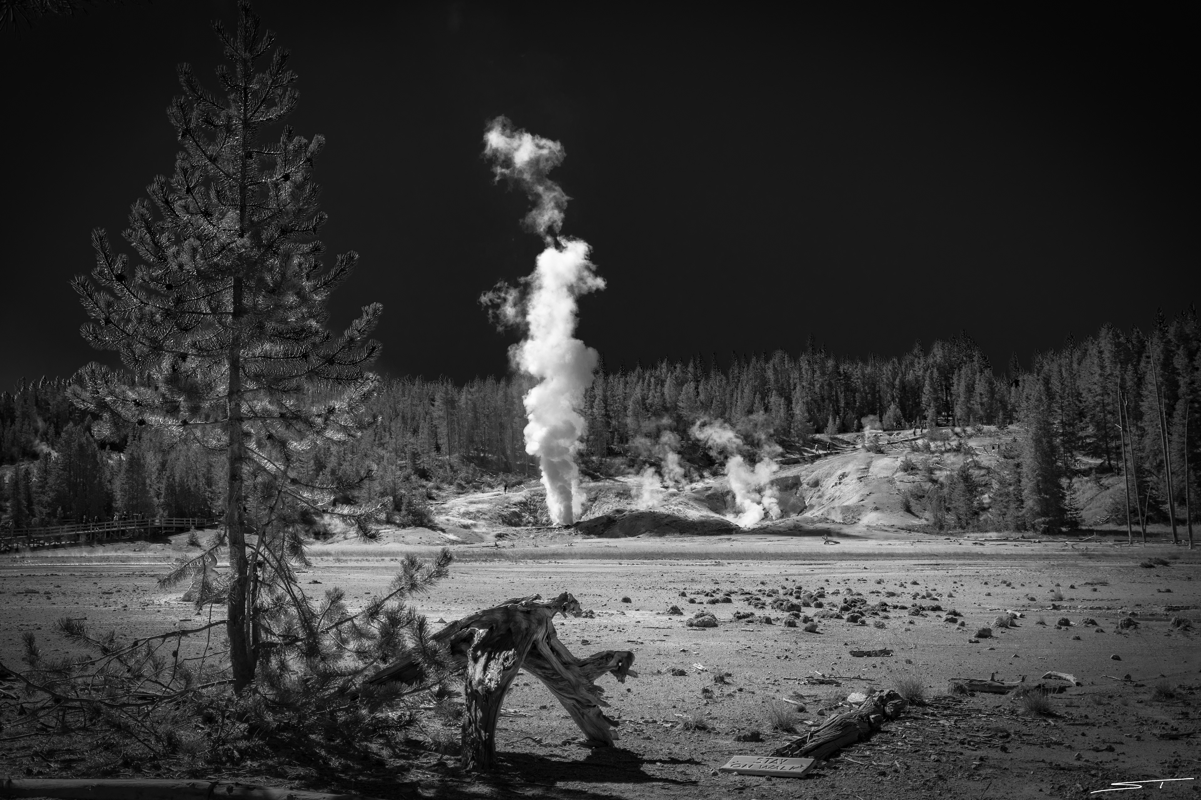 Yellowstone National Park
