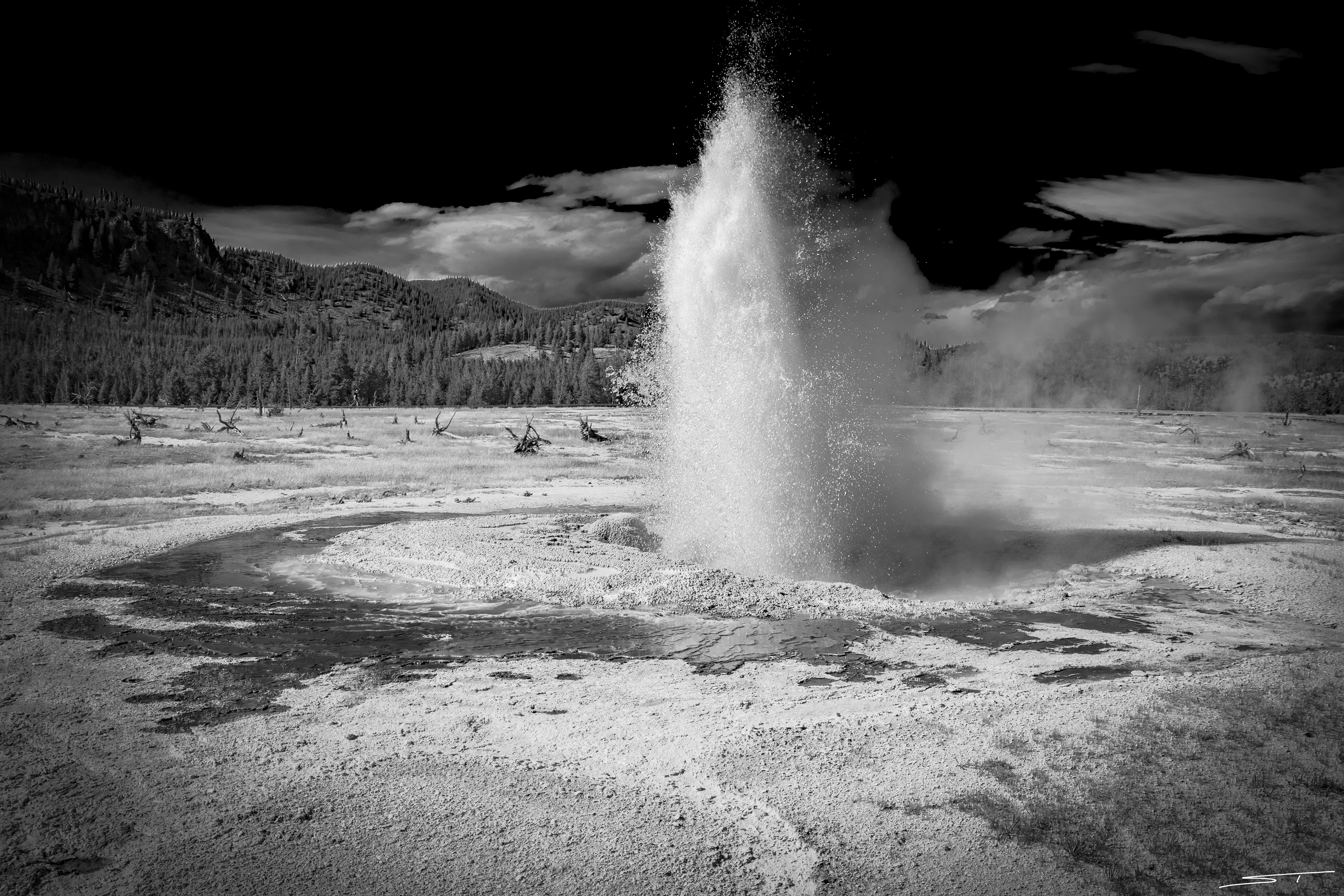 Yellowstone National Park