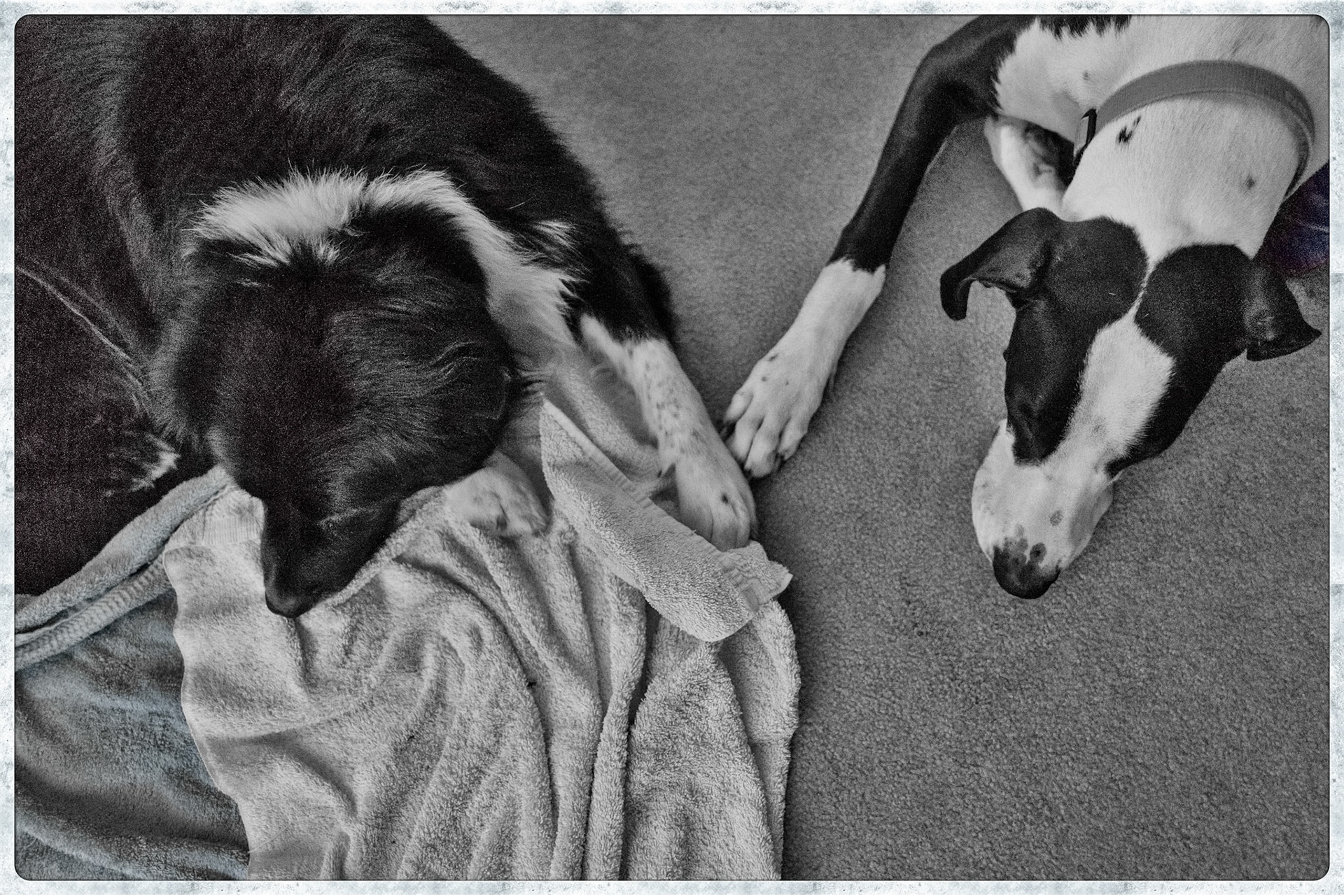 Sally and Hope
