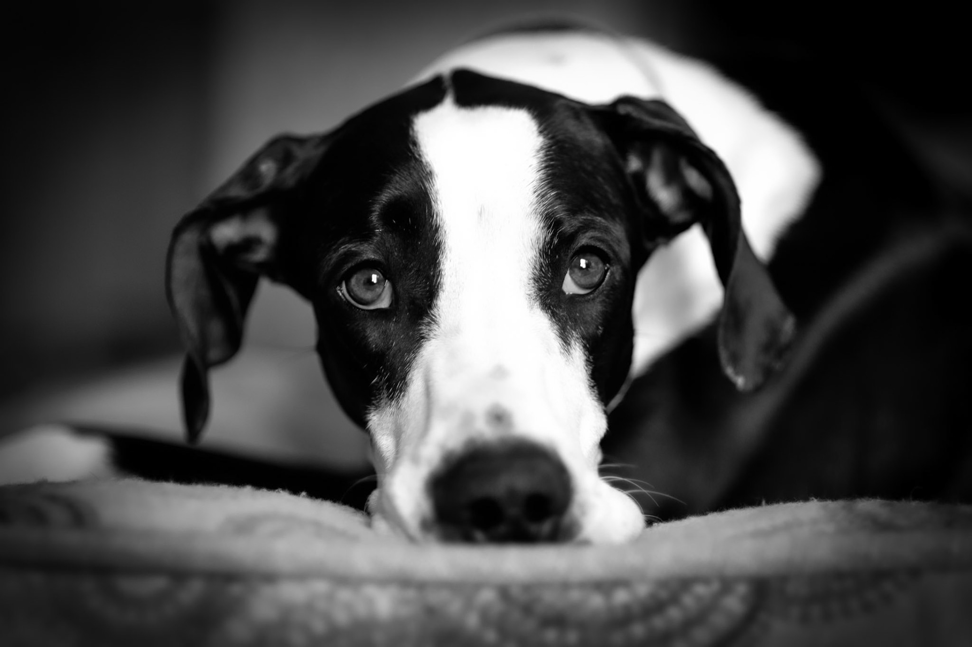 Hope, thoughtful