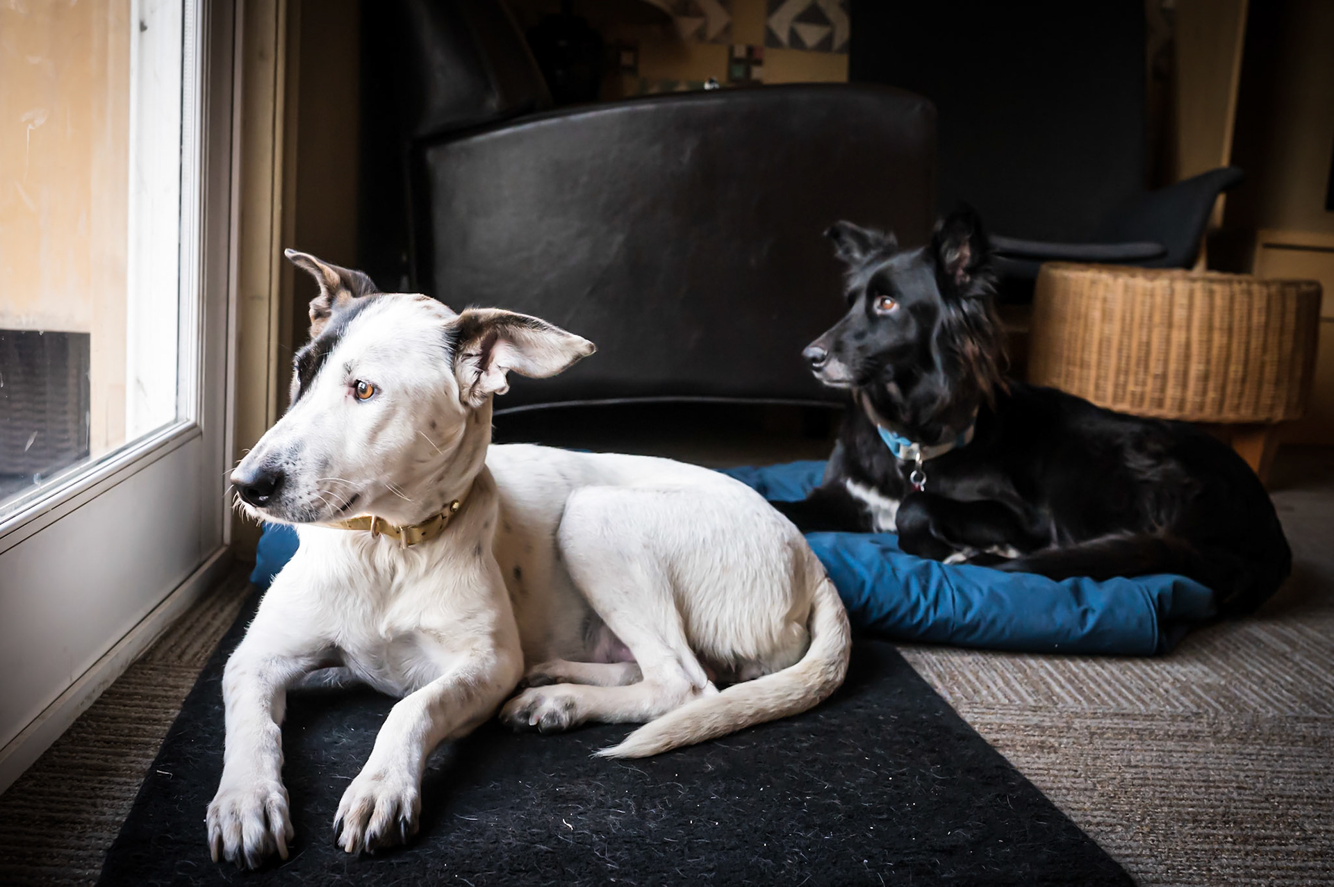 Penny and Lana (Fosters)