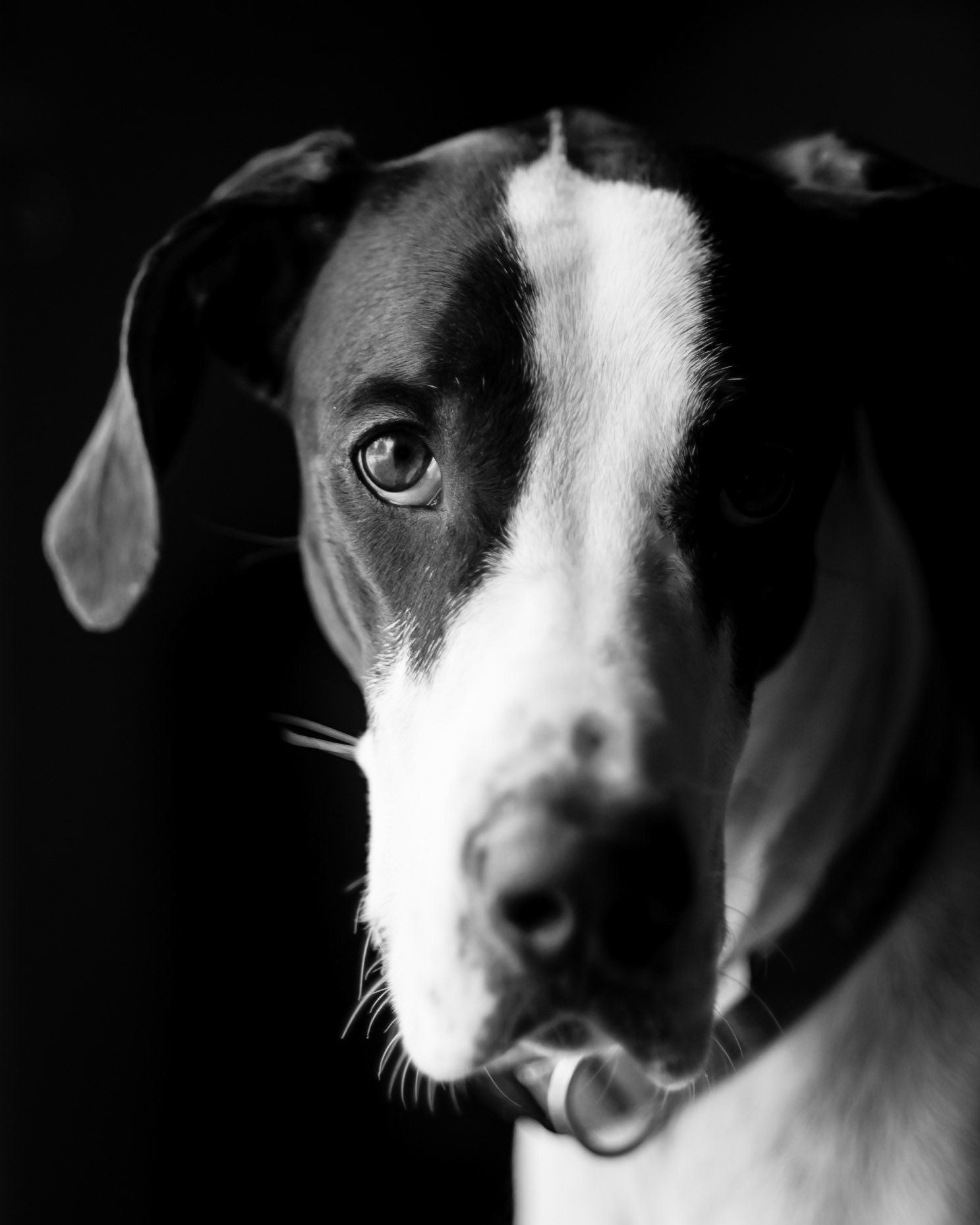 Hope, dramatic