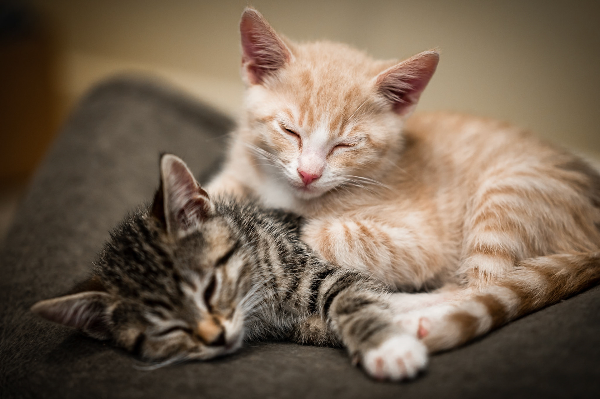 Louise and Leo (Fosters