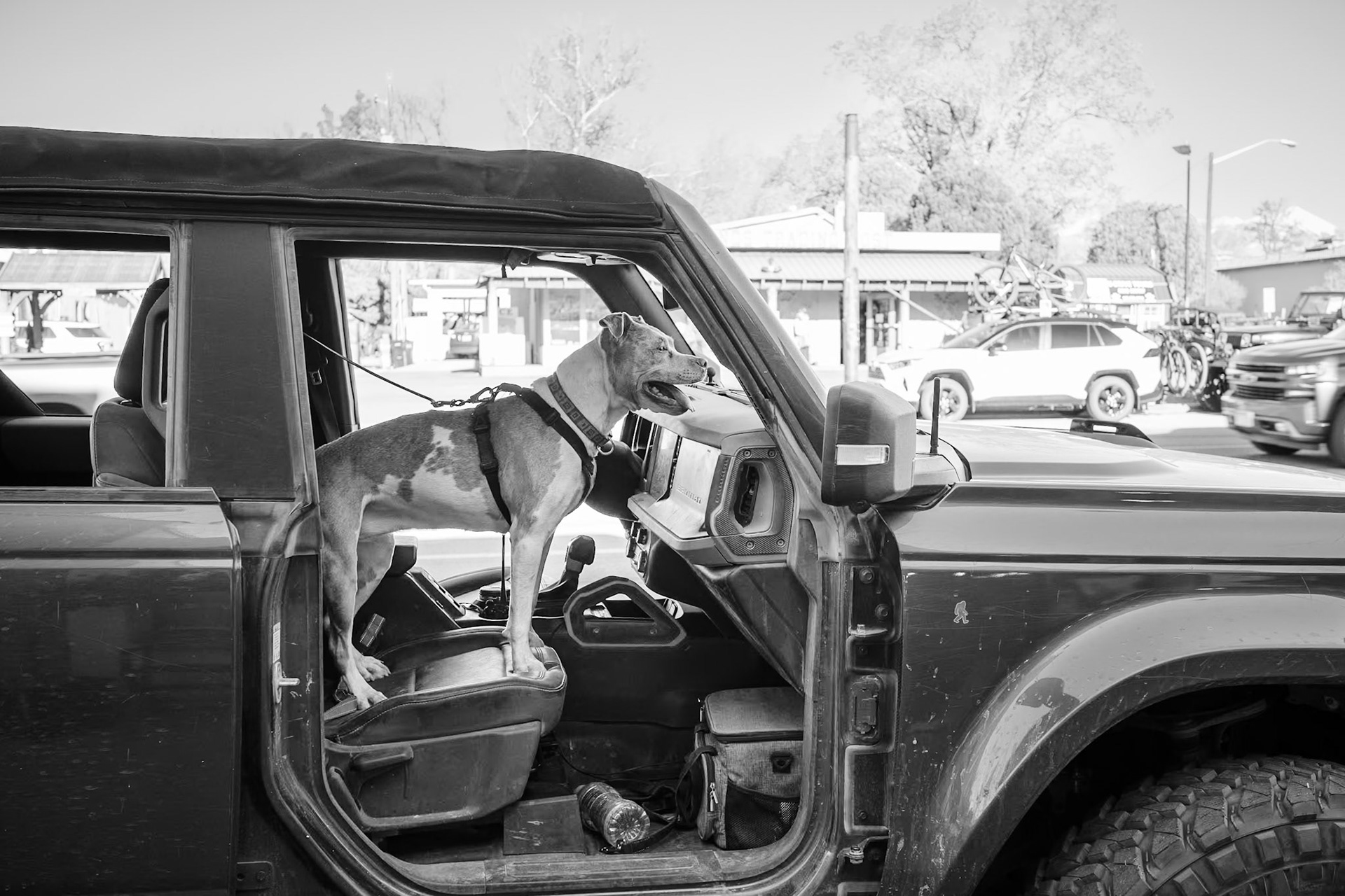 Waiting impatiently in Moab