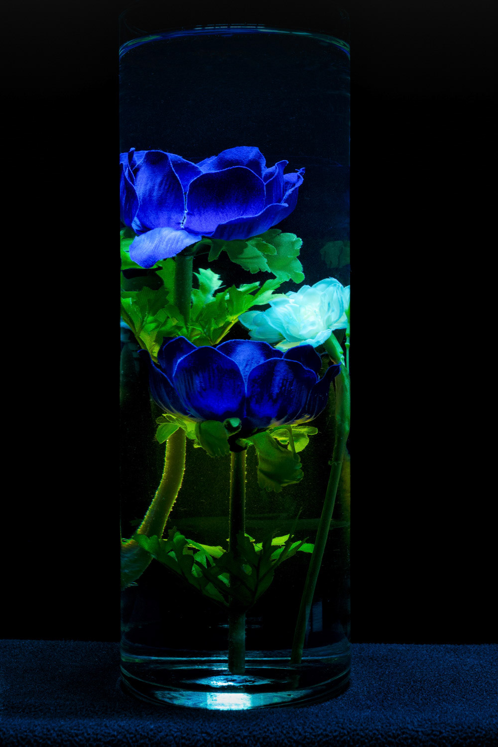 Blumen im Wasser