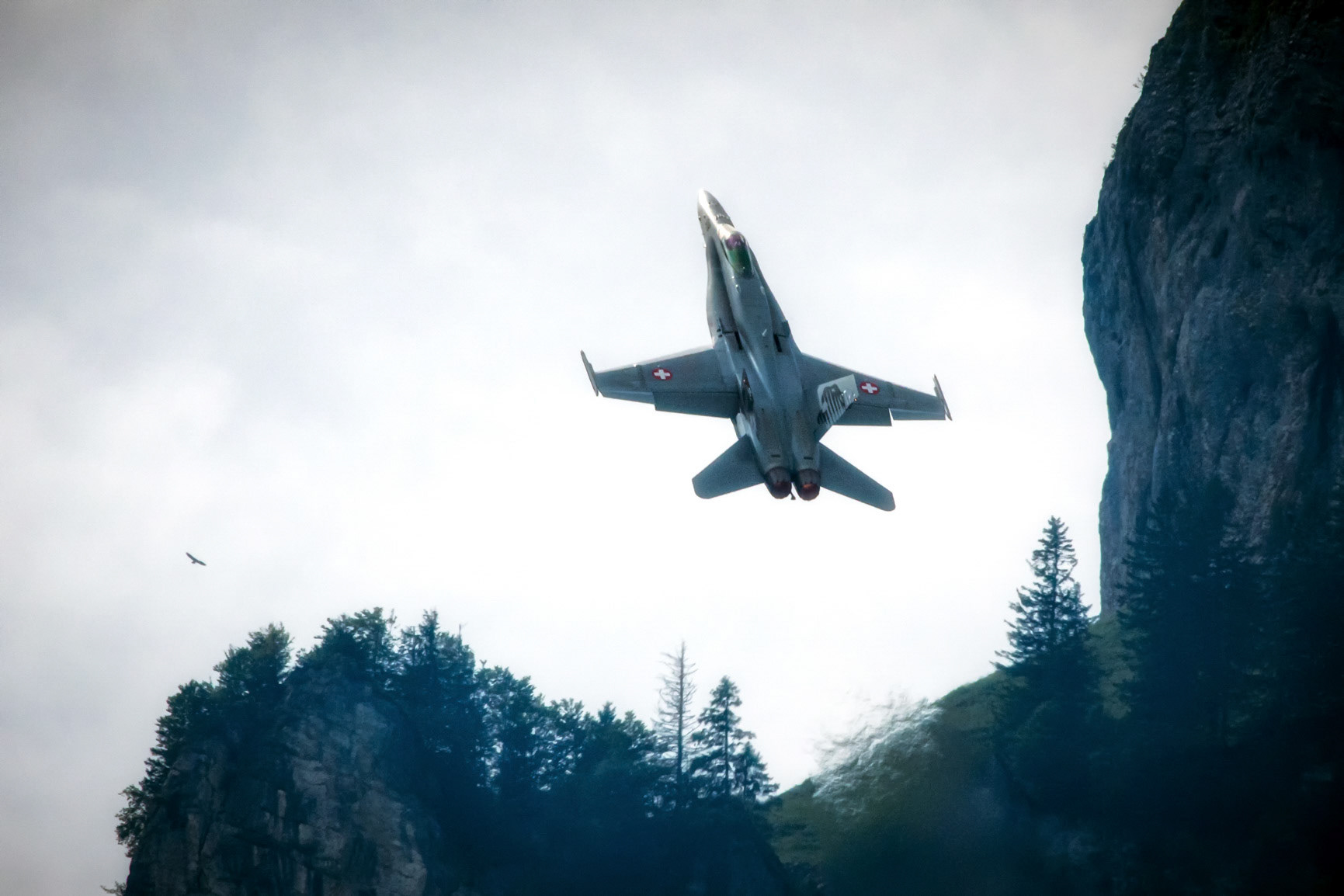 F-18 F/A Hornet