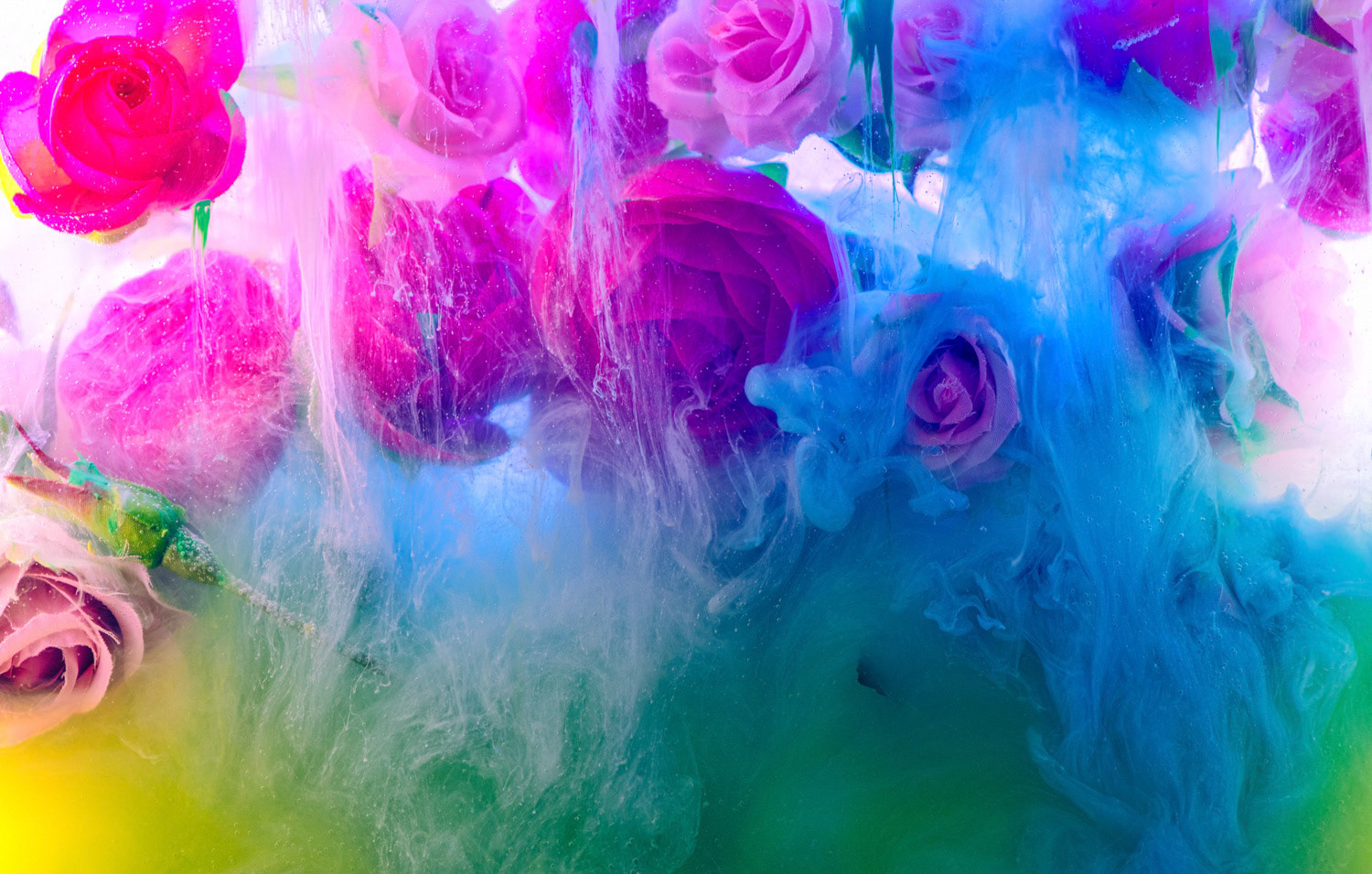 Blumen im Wasser