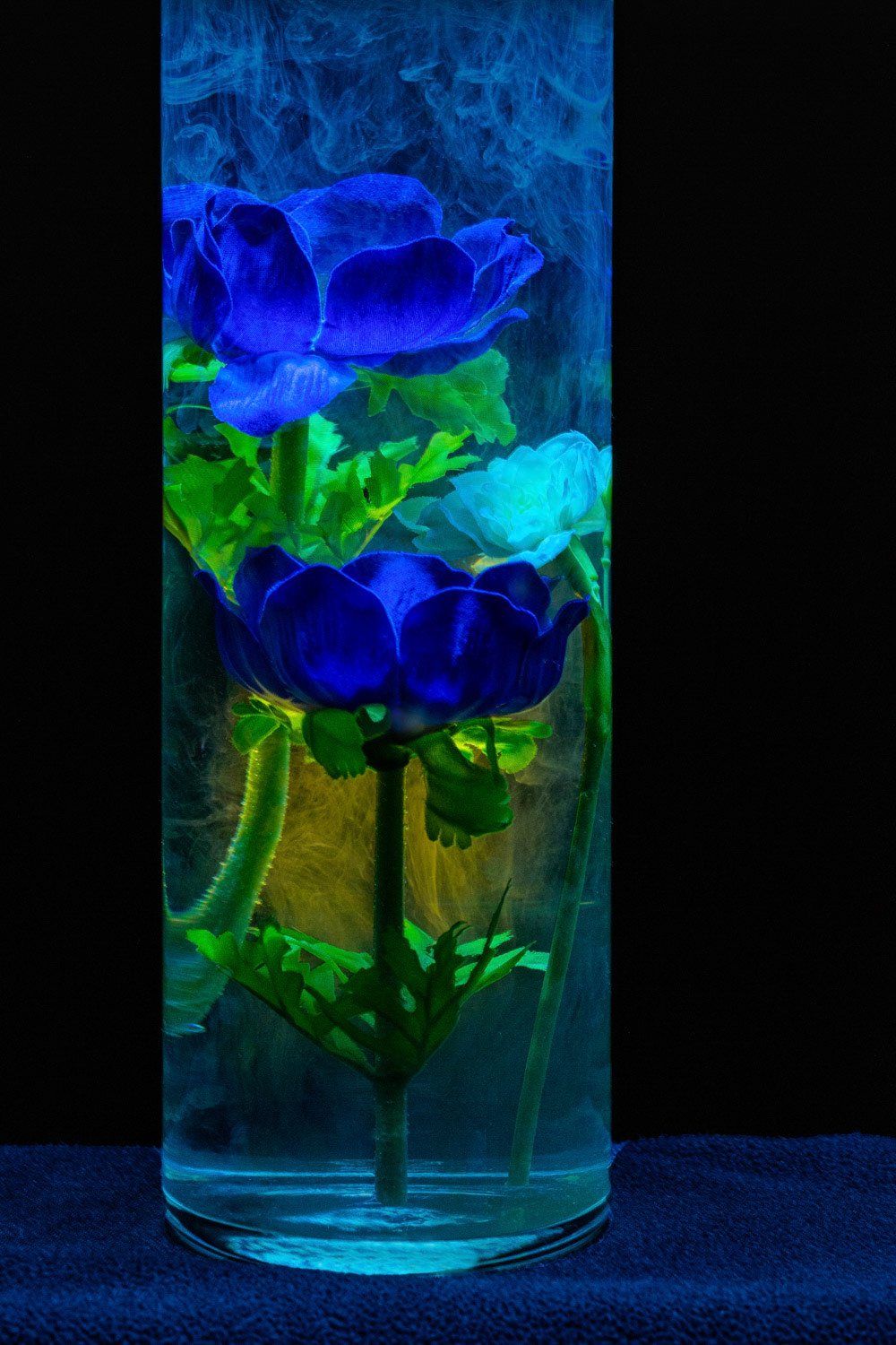Blumen im Wasser