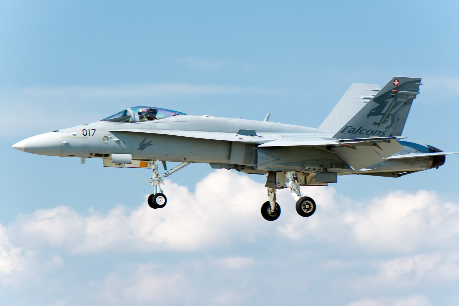 F-18 F/A Hornet