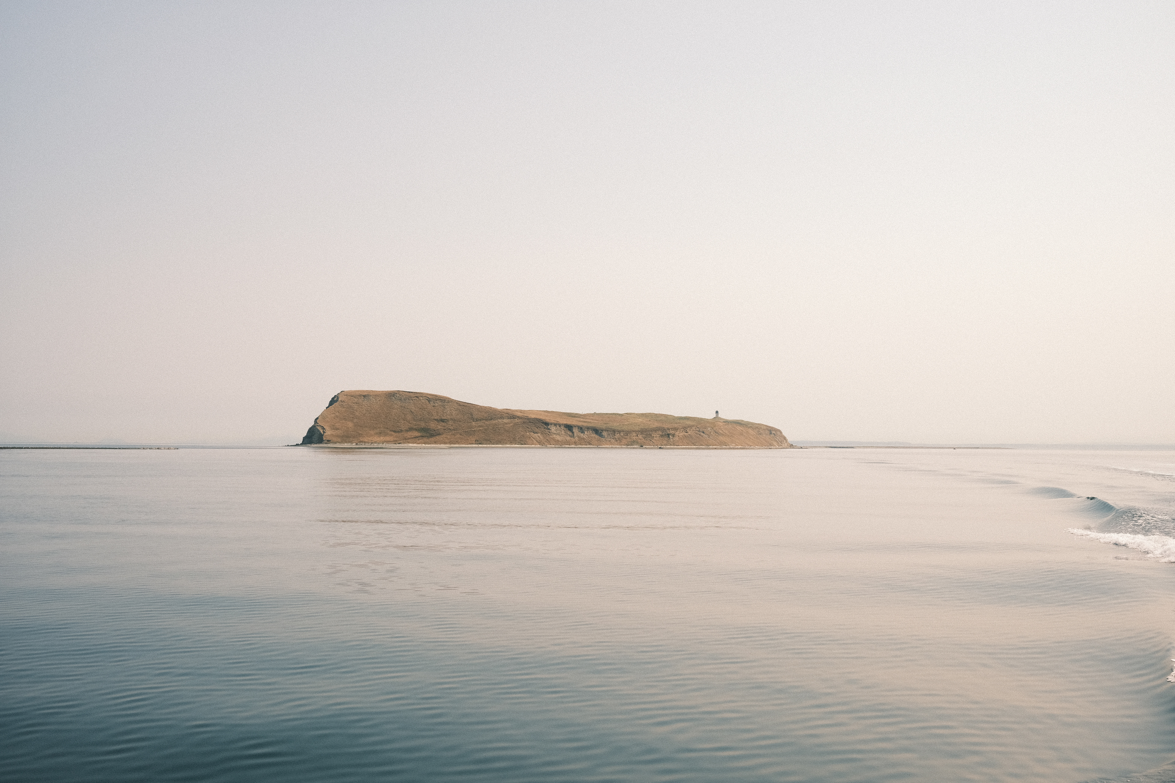 Protection Island, WA