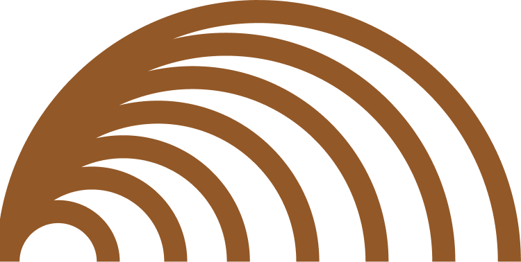 Pedro Henrique Gomes