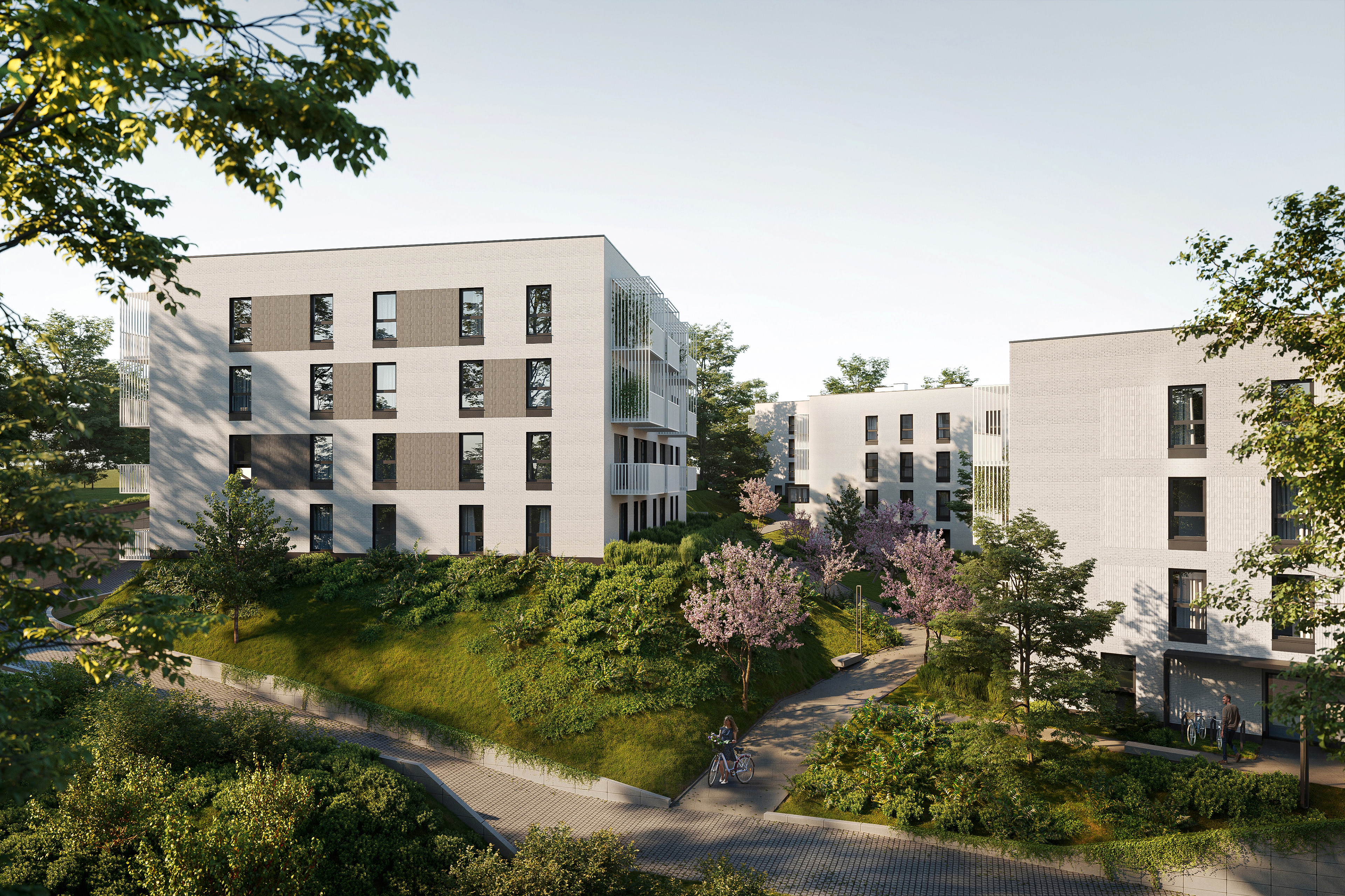 viu.studio visualization