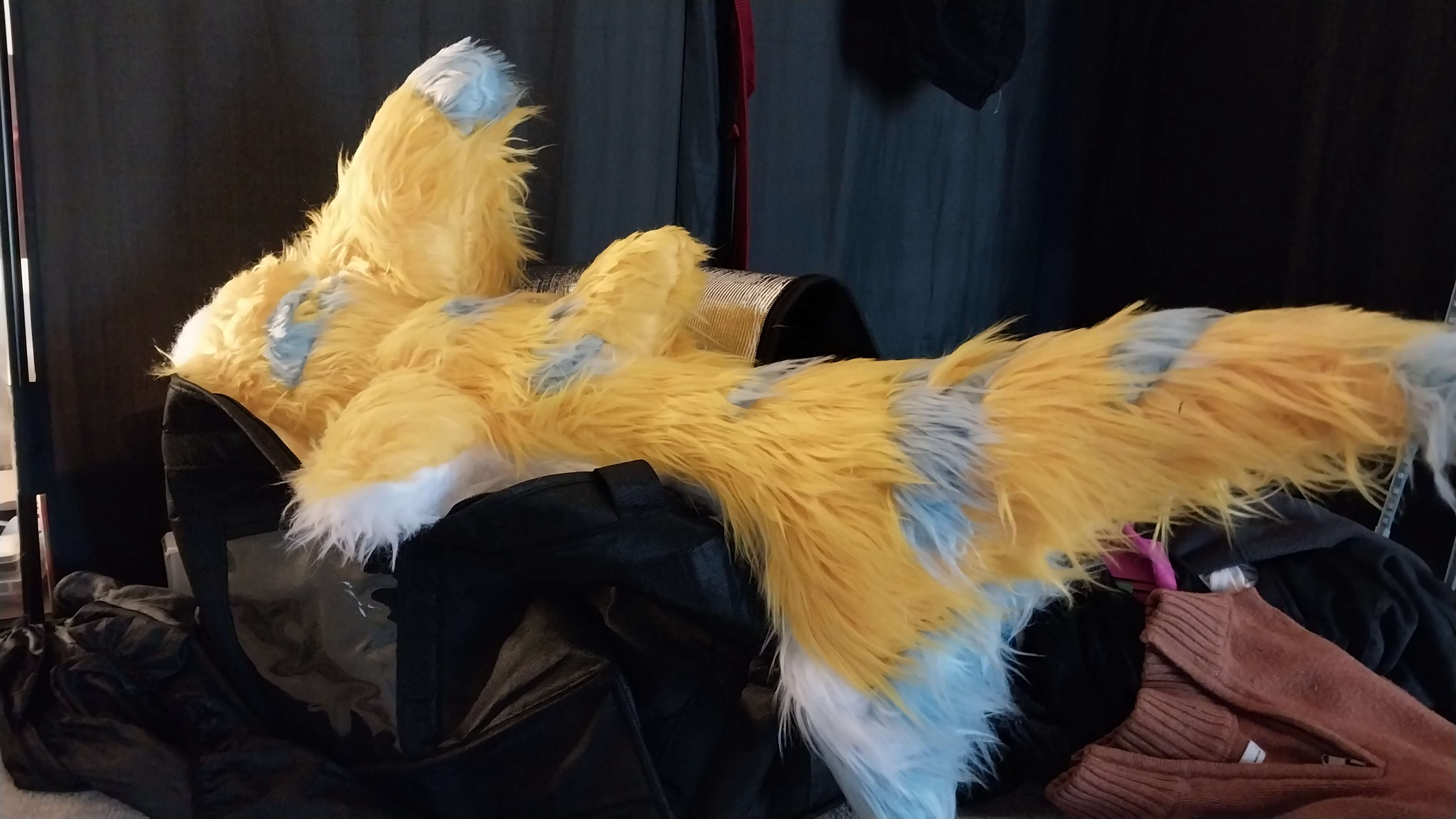 Unclipped tail