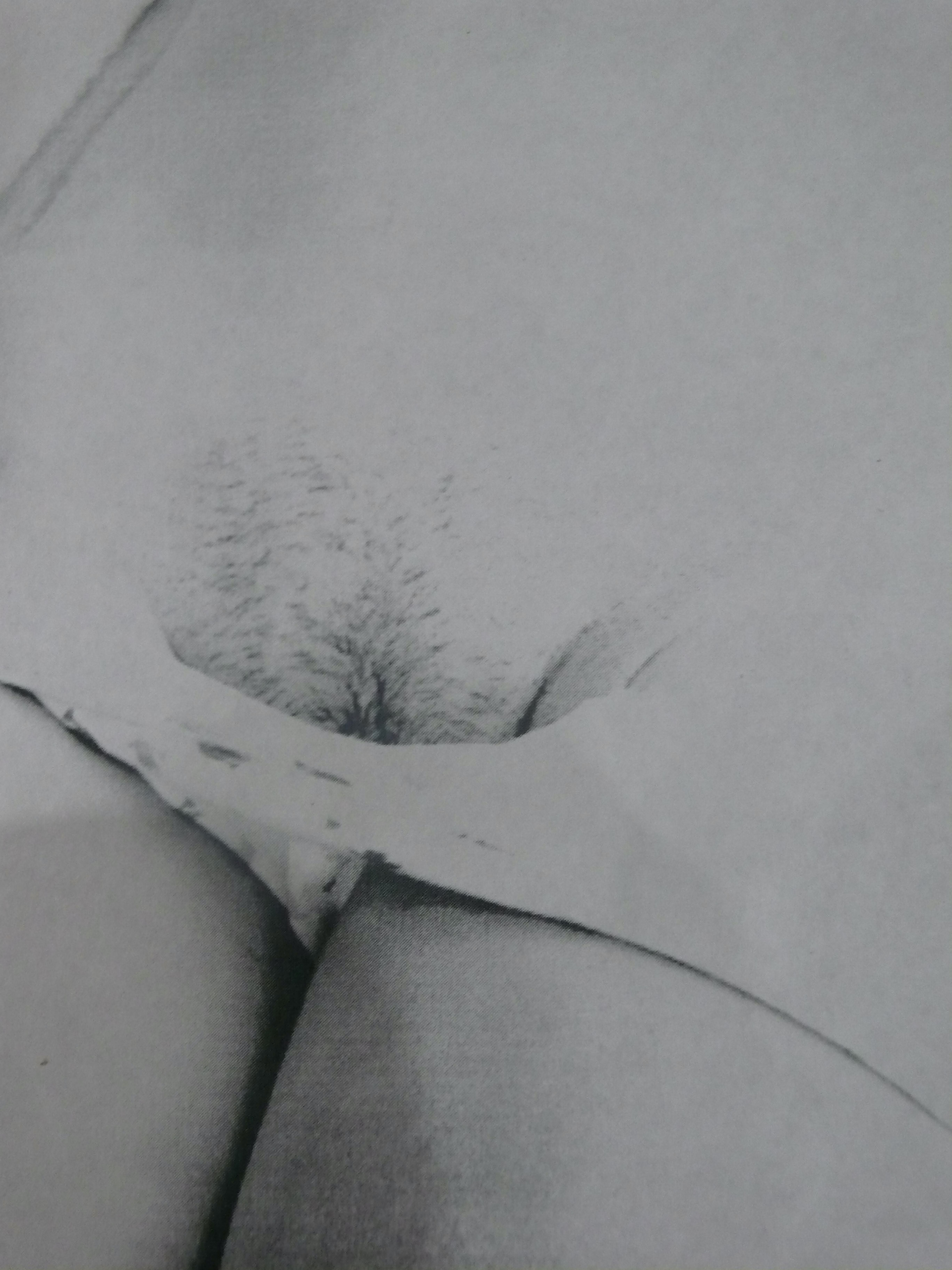 White Cotton Panties