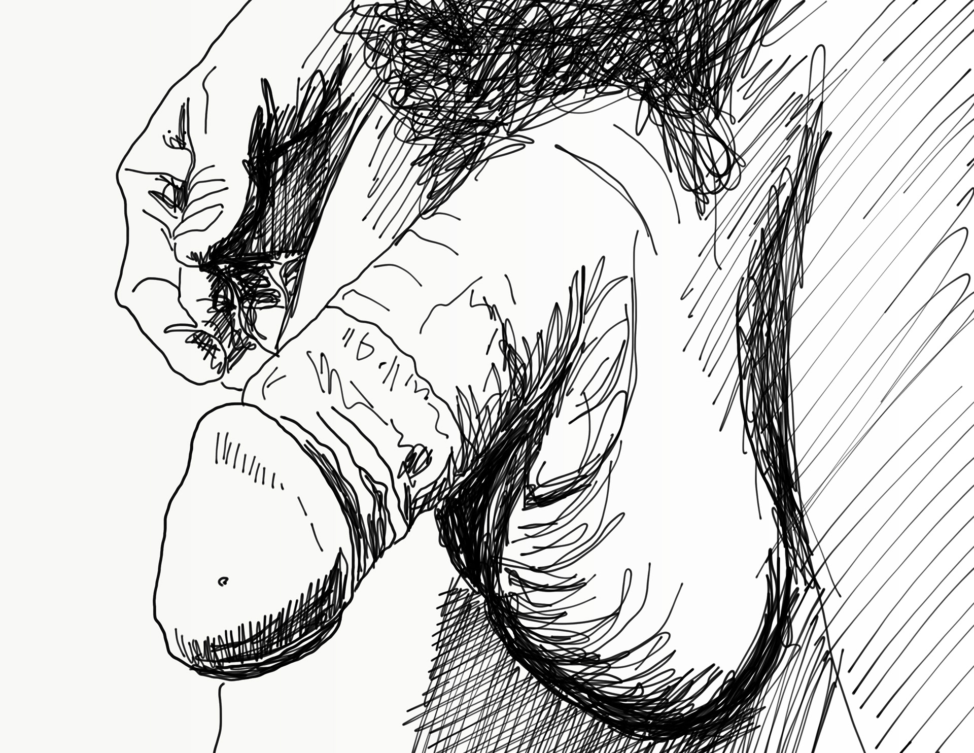 The Rooster