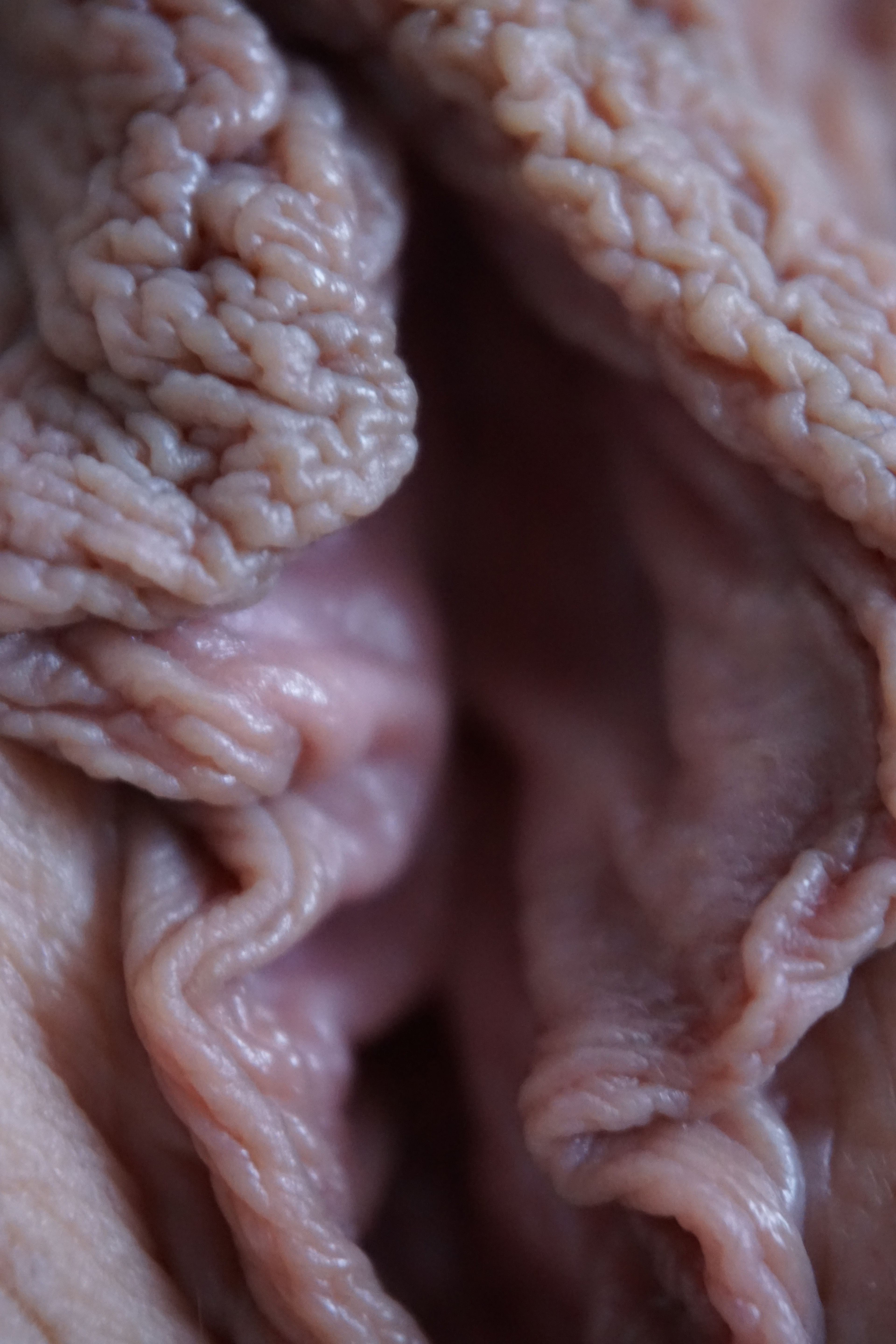 Landscapes of the Sacred Feminine