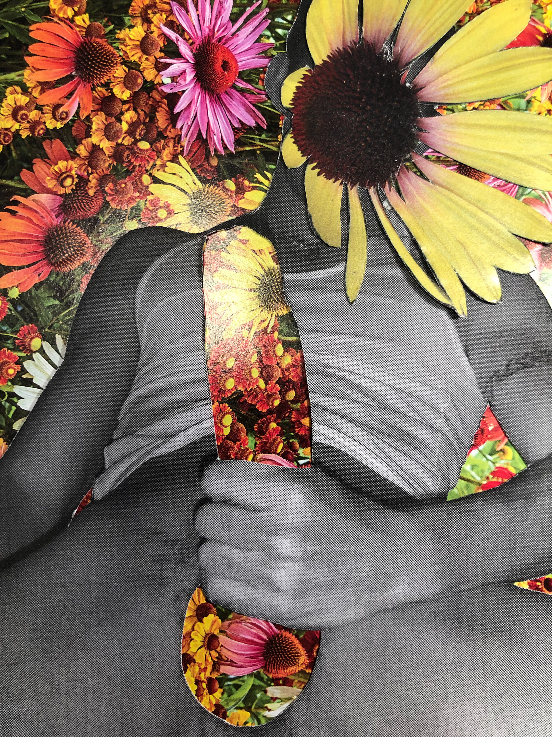 Stroking Daisies