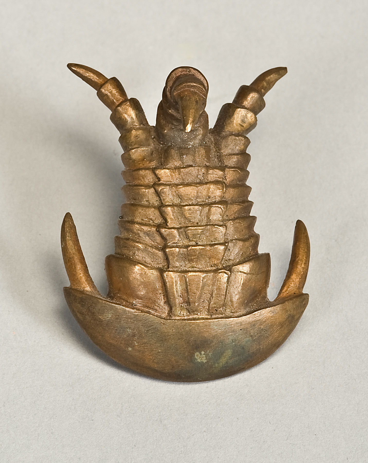 Trilobite