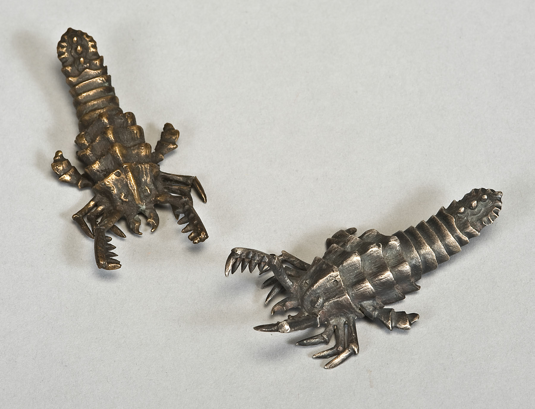 Euripterid
