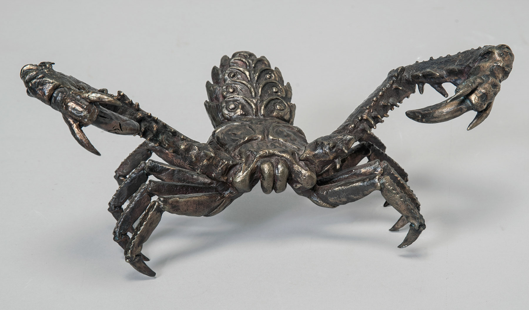Amblypygi