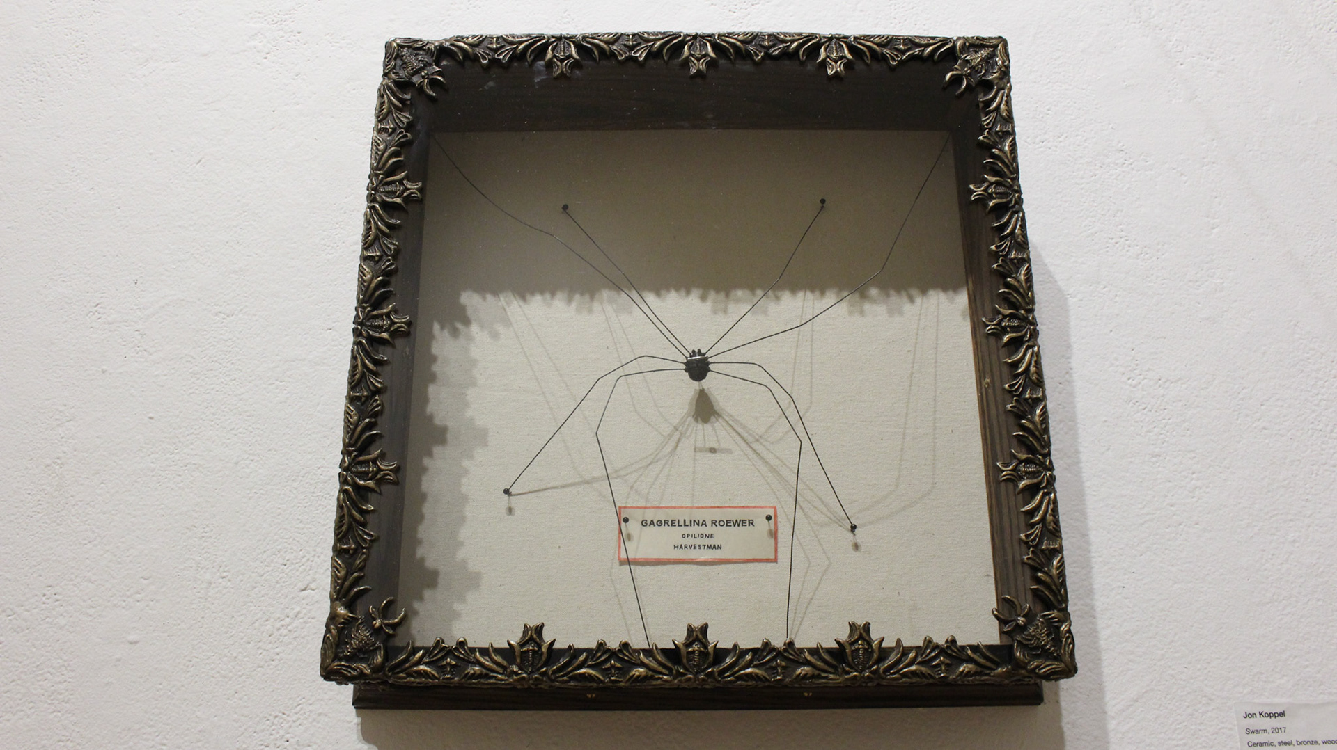 Swarm (detail)
