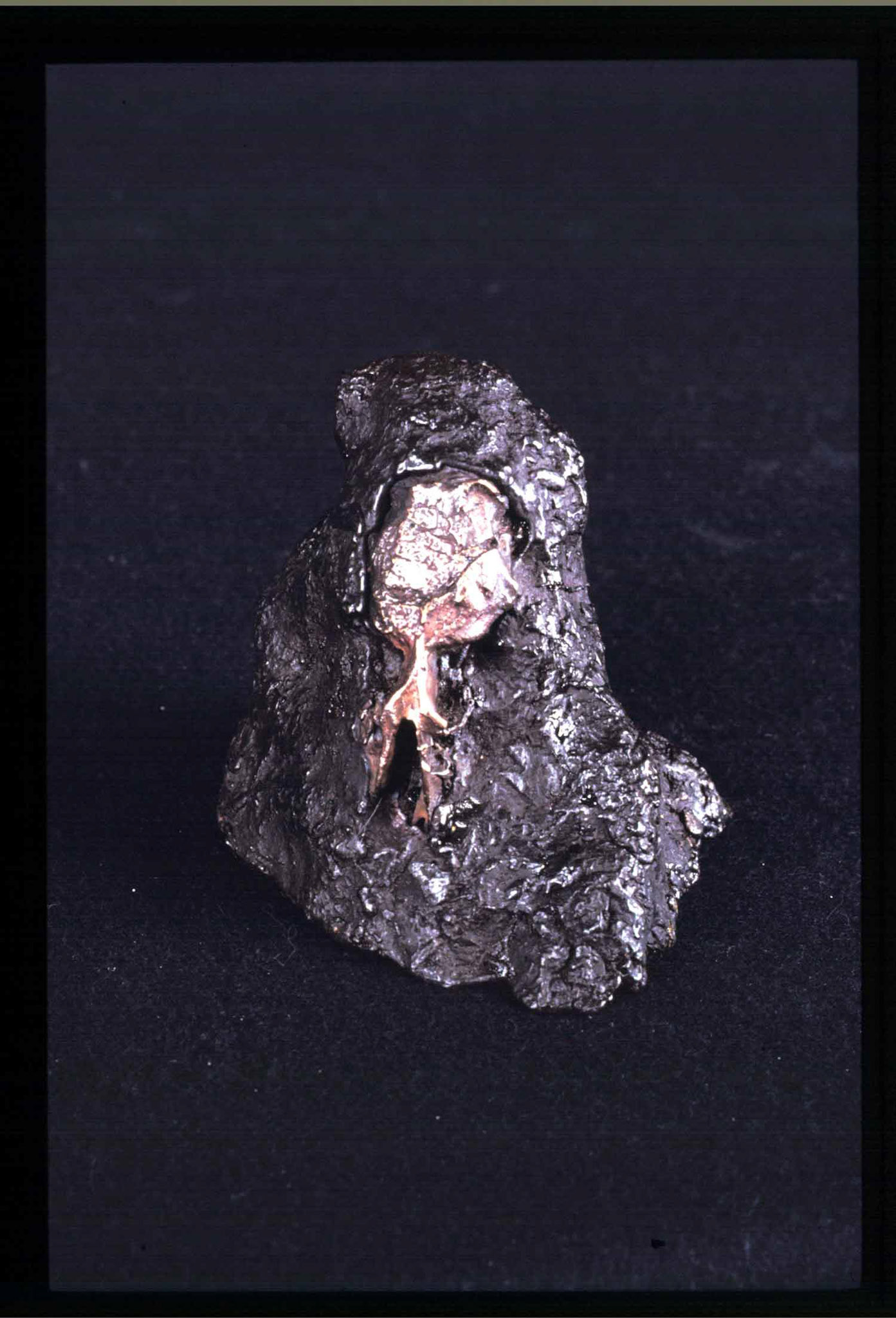 Fossil