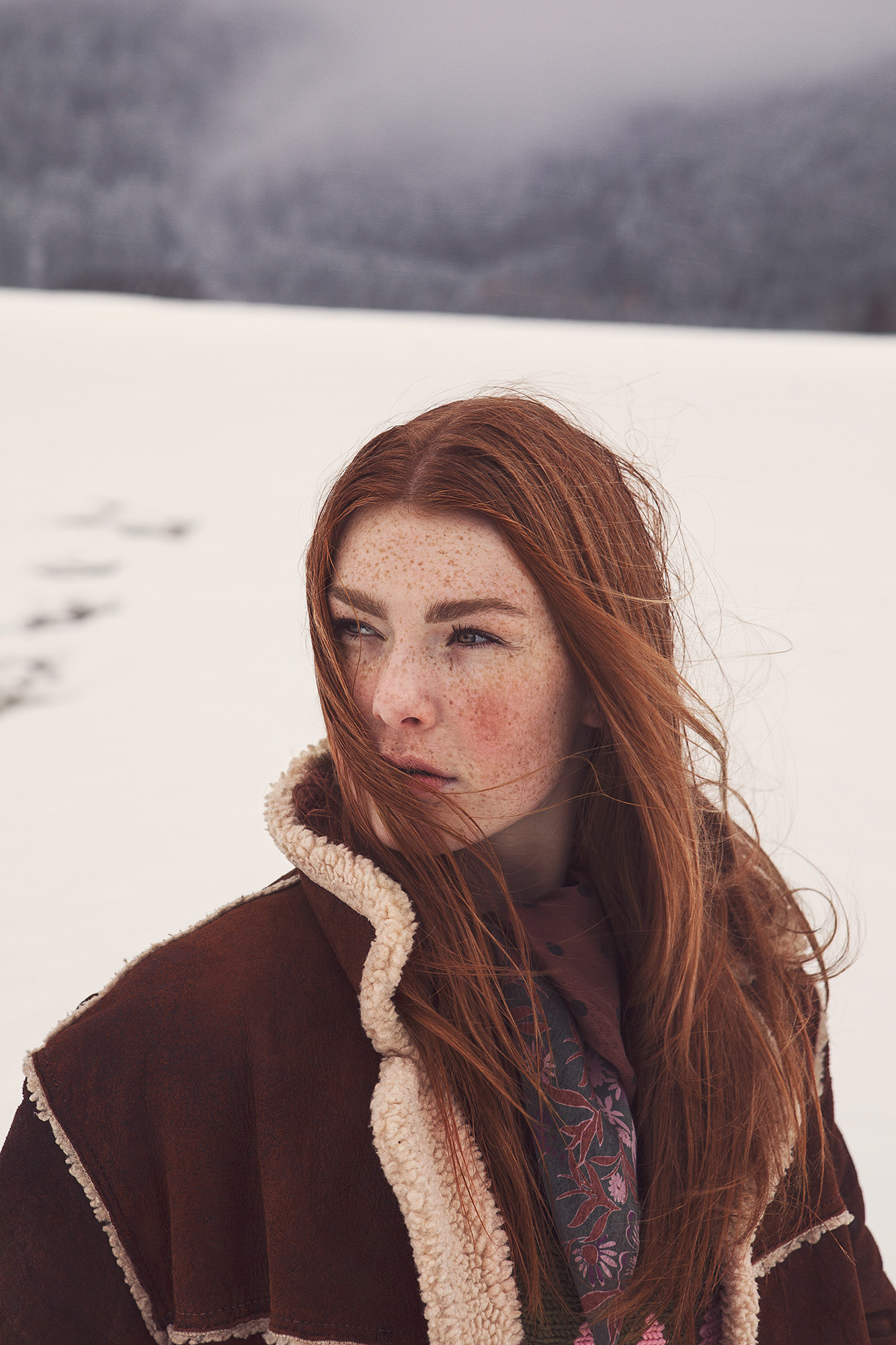 Wild Rover - Solis Magazine