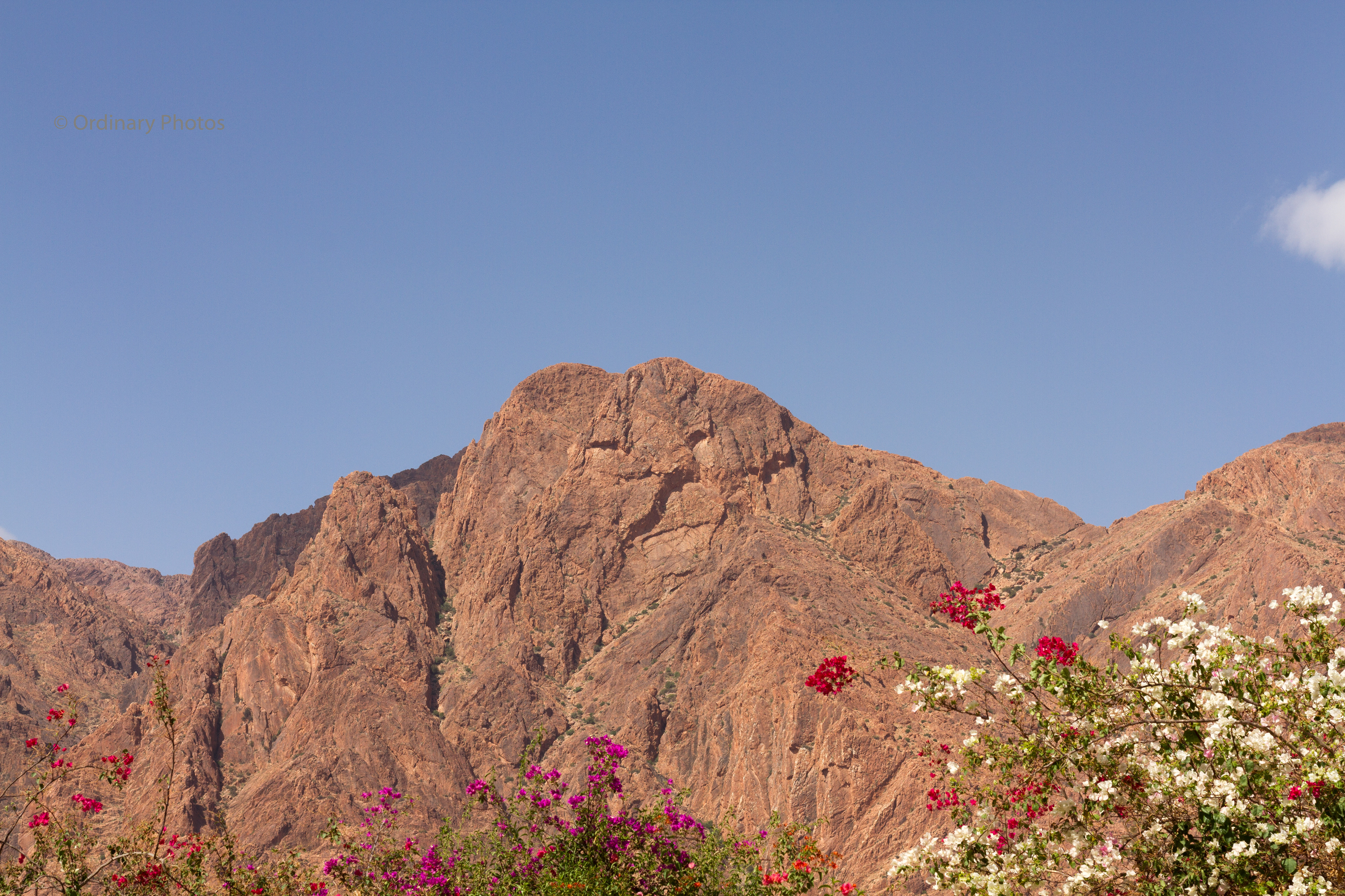The lion's head overlooking Tafraoute
