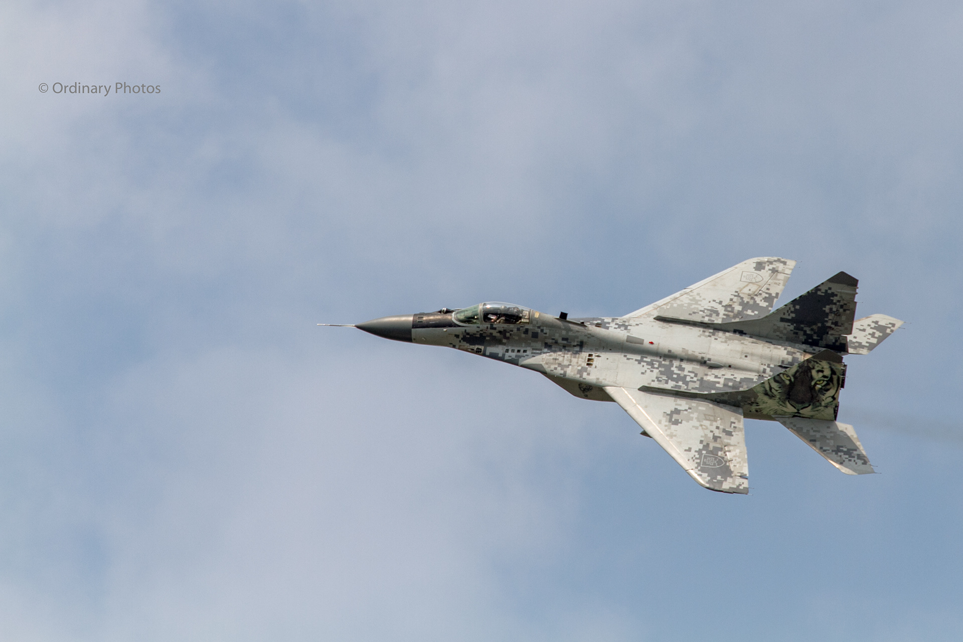 A Slovak MiG-29 during the Luchtmachtdagen 2014 at Gilze-Rijen air base